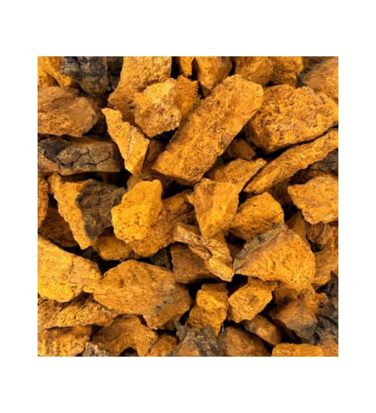 Chaga Mushroom C/S (114 G) - Buy Online on GoSupps.com