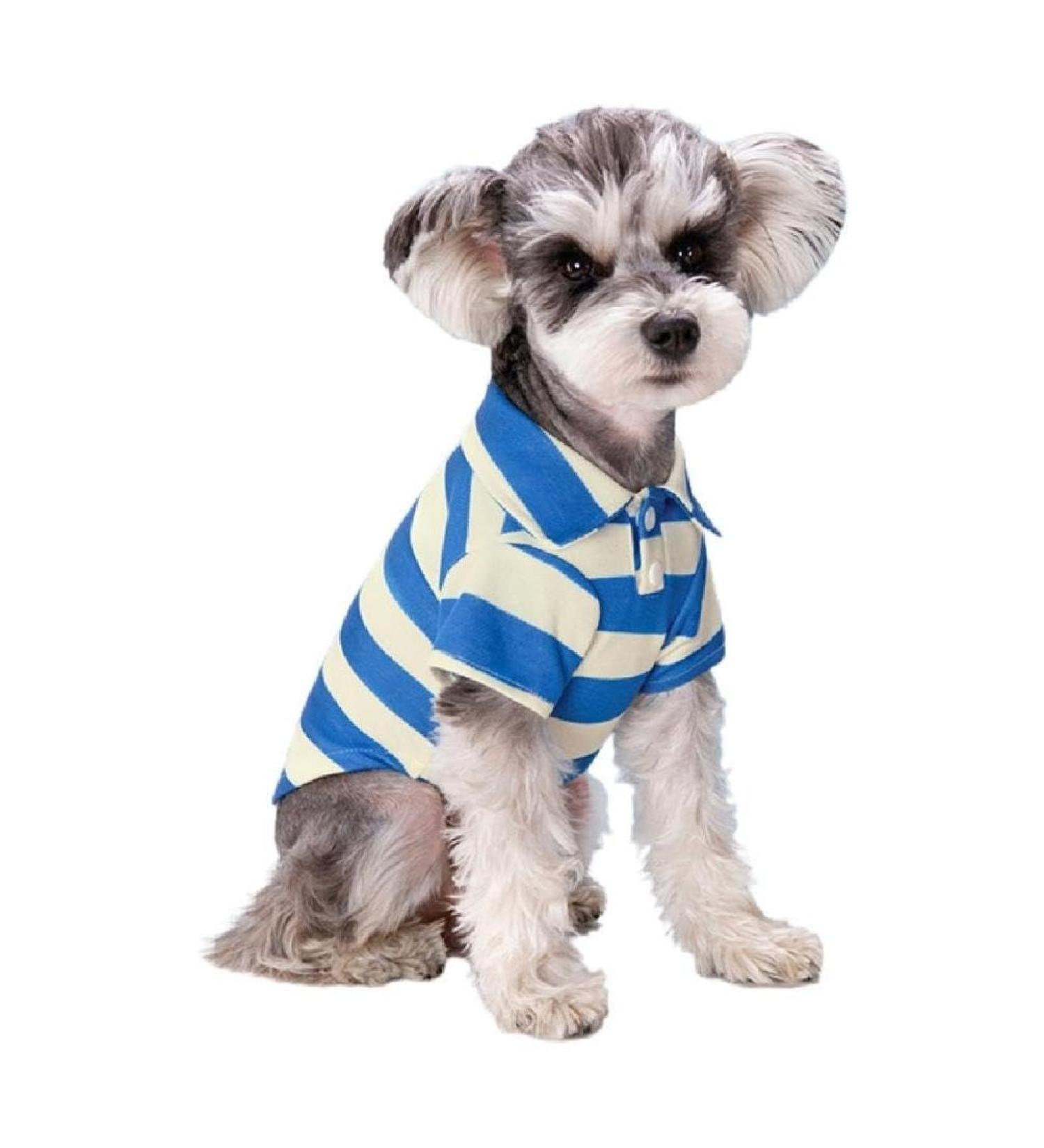 Stylish Striped Polo Shirt for Small Dogs - Fashionable Summer Costume for Bichon & French Bulldogs - Breathable Blue T-Shirt - Buy Online on GoSupps.com