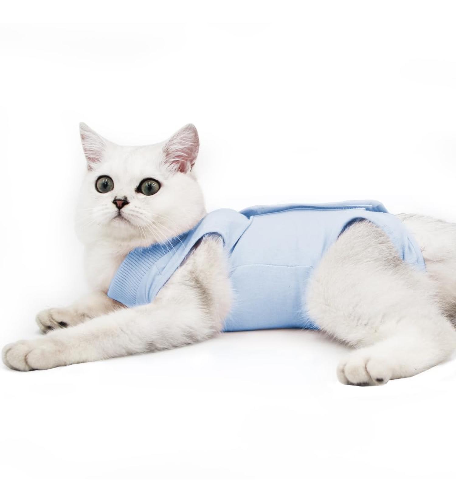 Dotoner Katzenbody f r Katzen & Hunde Anti-Trolling nach Operation Hautkrankheiten kastrationsfreundlich E-Halsband-Alternative - S Blau - Buy Online on GoSupps.com