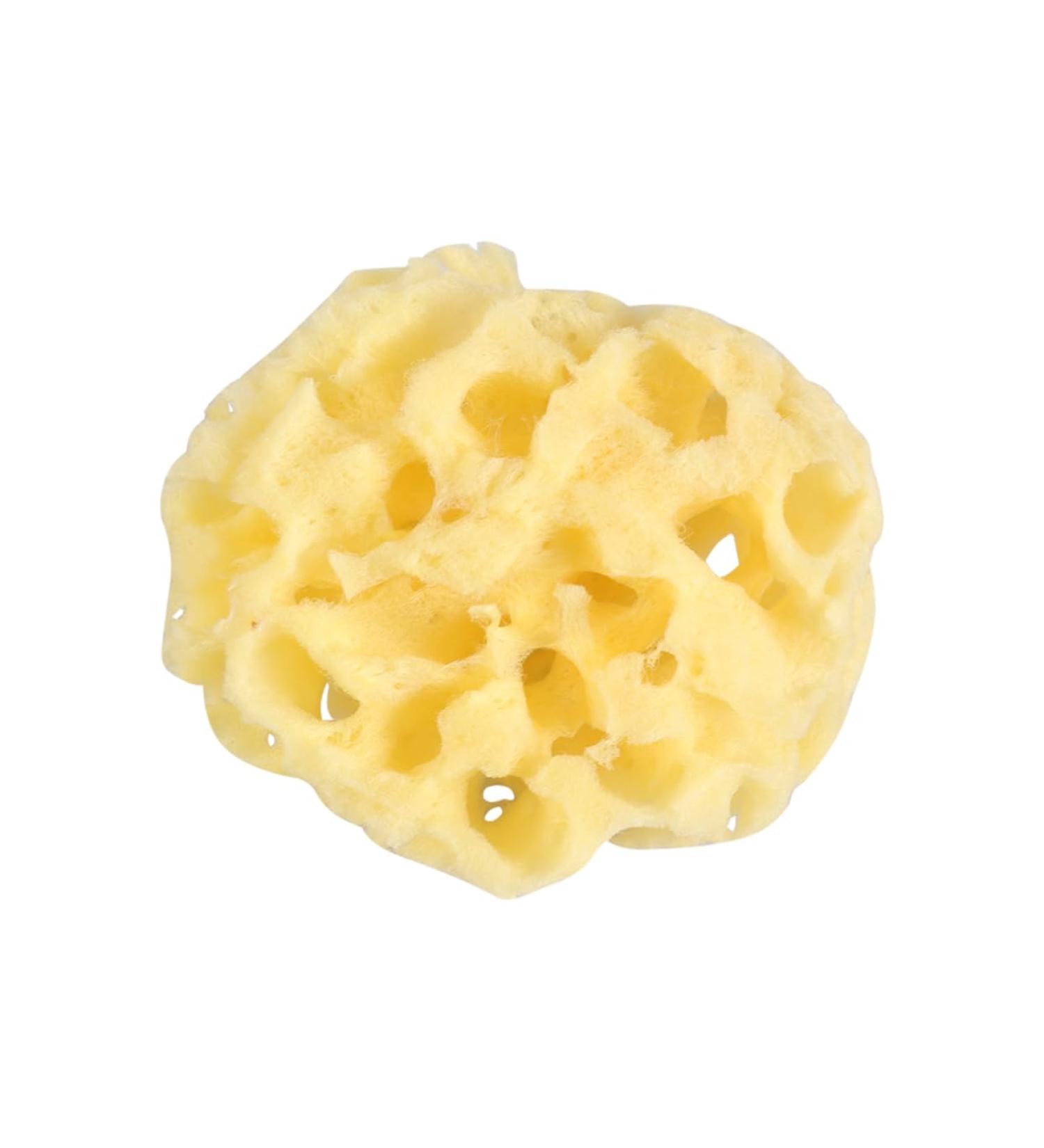 Beaupretty 1PC Shower Sponge Mesh Balls Sponge Bath sponges for Shower sponges for Bathing Natural Bath Sponge Body Sponge Sea Sponge for Bathing Natural Sponge Honeycomb Bath Wipe Baby - Buy Online on GoSupps.com