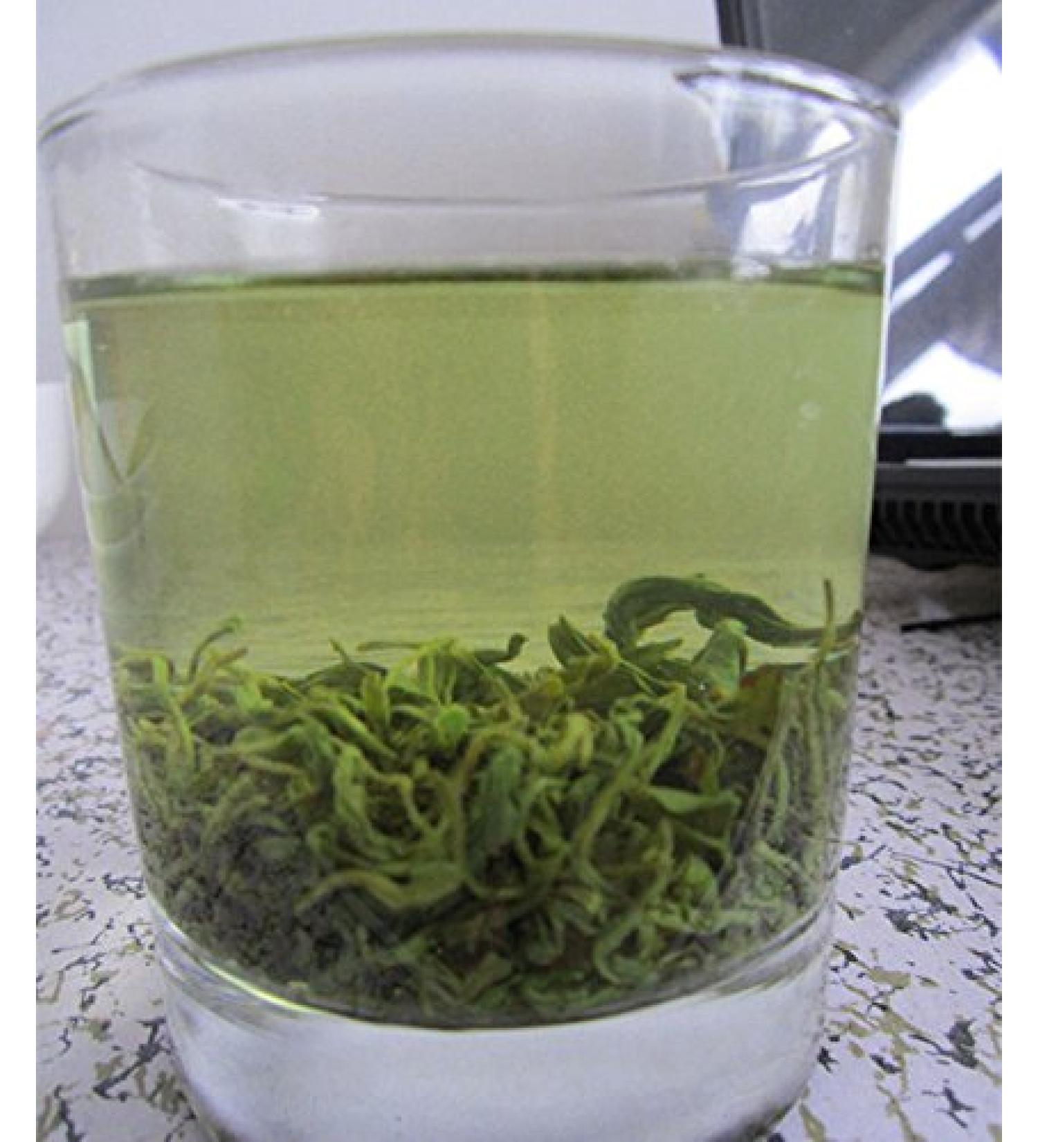 500g 0.5KG 17.64ounce oz rizhao Dry Green Tea Leaves Leaf - Buy Online on GoSupps.com