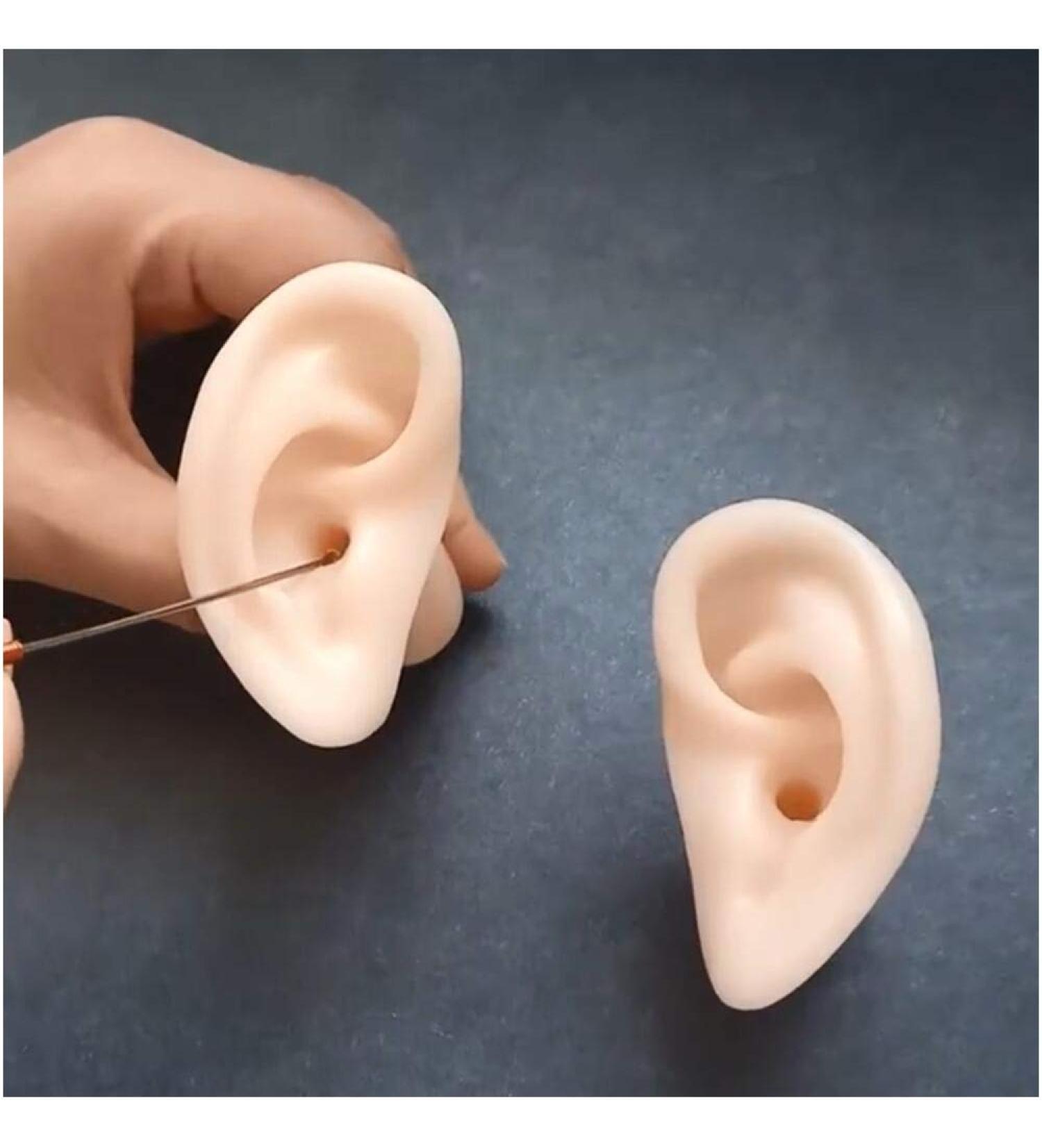 Simulation Silicone Ear Model - Life Size Artificial Ear Model Soft Silicone Ear Model for Teaching - for Ear Picking Practice Studs Earring Display Props 1 Pair - Buy Online on GoSupps.com