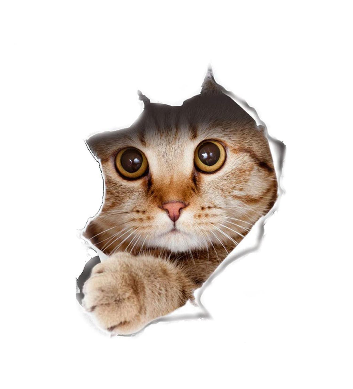 U-M 1 Sheet Funny Cat Dog 3D Wall Sticker Hole View Living Room Wall Decal Toilet Seat Cover Lid Sticker Mural Art Poster Background Bathroom Bedroom Cat as shown - Buy Online on GoSupps.com