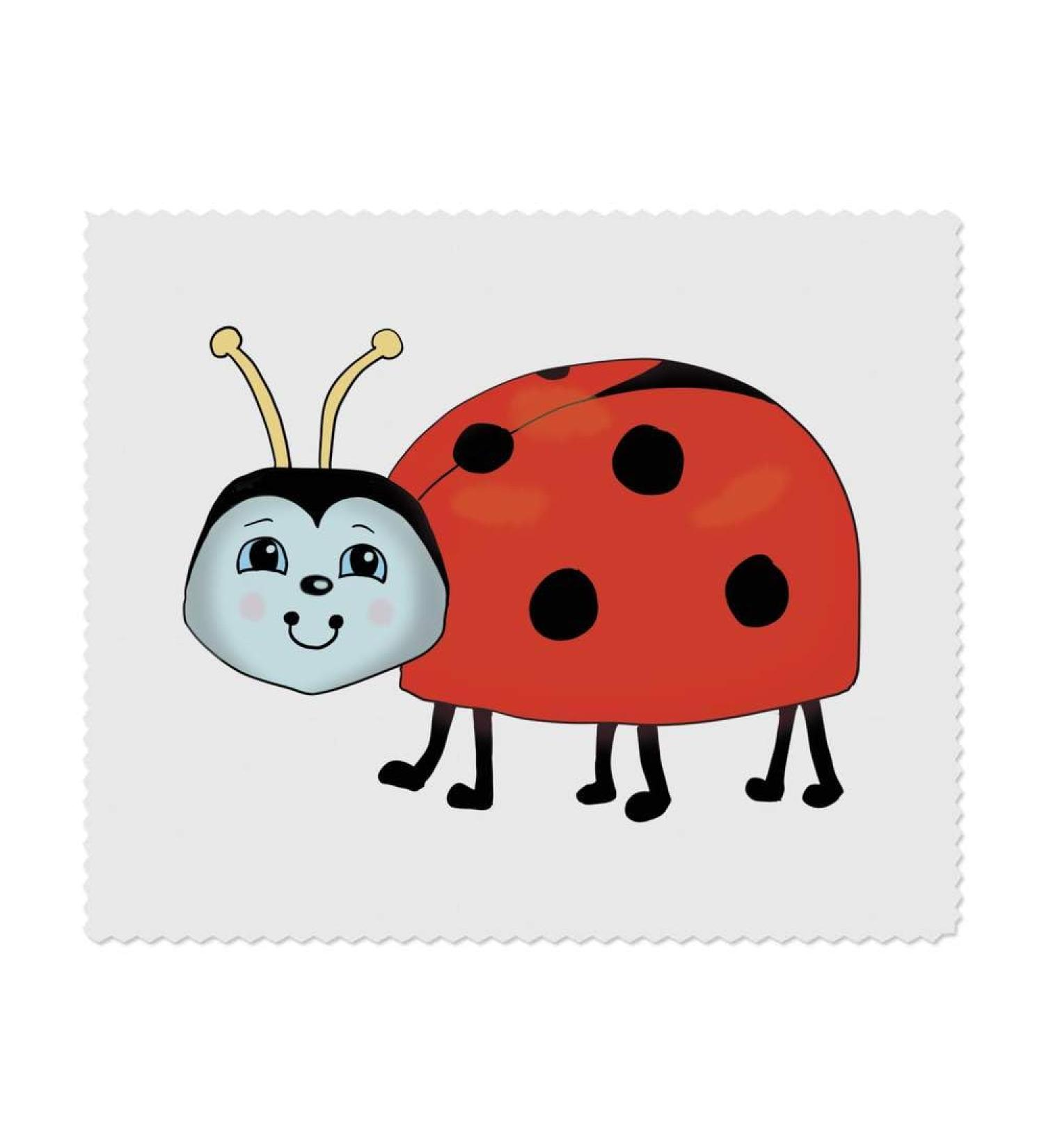 Buy 2 x 'Ladybird' Microfiber Lens/Eyeglass Cleaning Cloths - Ultimate Care for Your Glasses | International Shipping Available - Buy Online on GoSupps.com