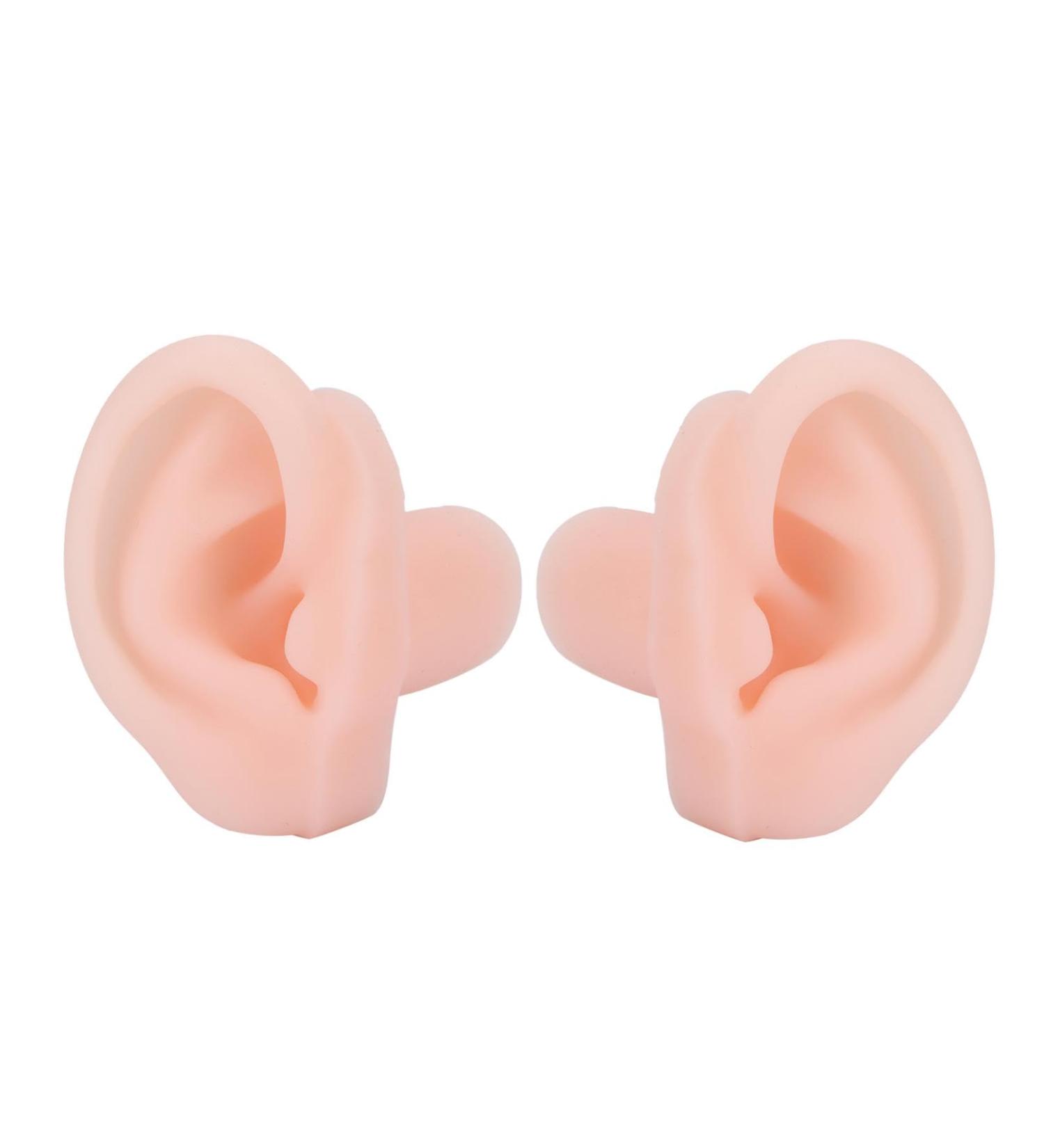 Silicone Ear Model - Flexible & Soft for Hospital Display | Educational Simulated Ear for Learning - Buy Online on GoSupps.com