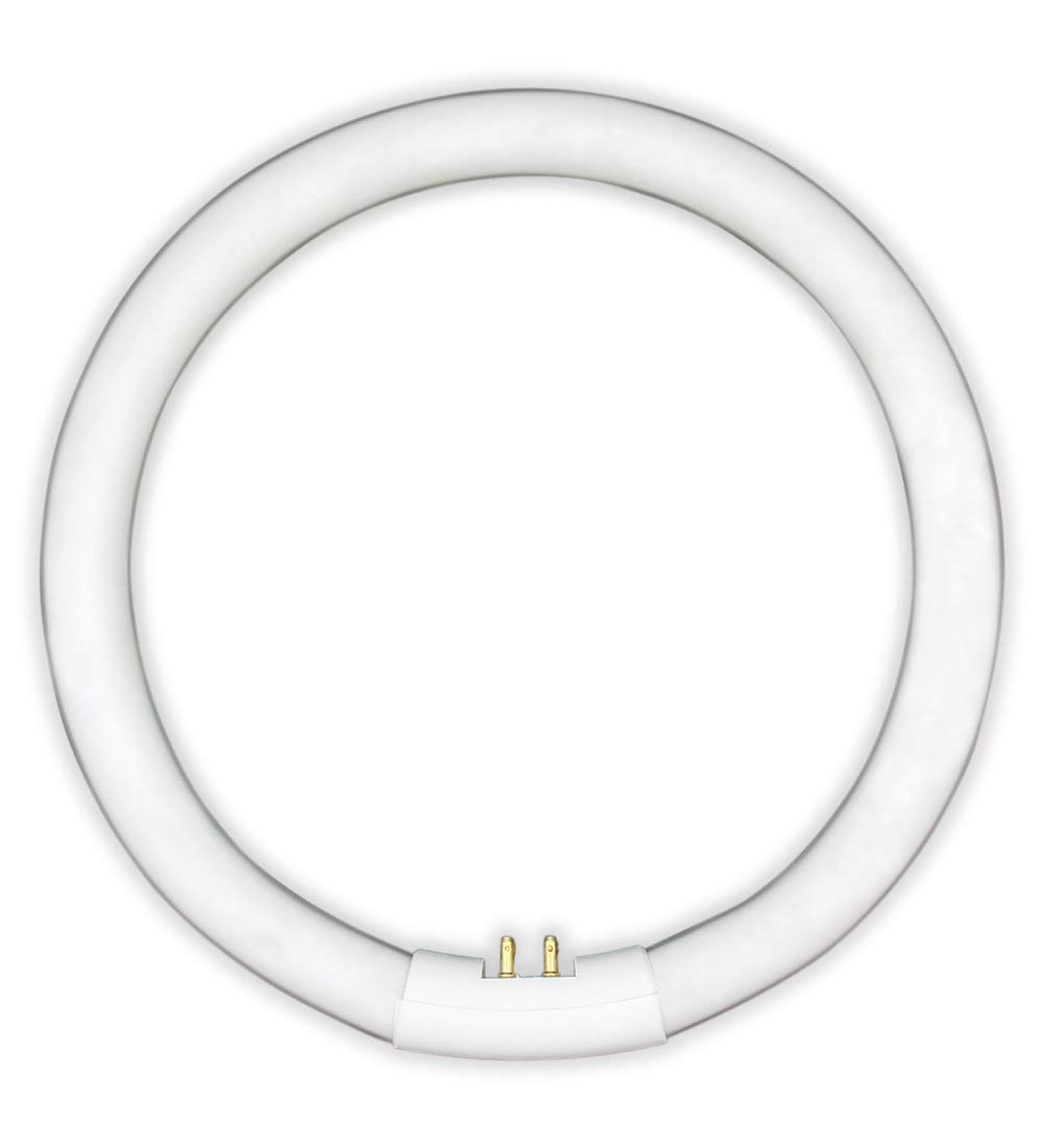 T5 22W Circular Bulb Replacement for Zadro 7-in Surround Light by Technical Precision Replacement Bulb for Lighted Mirror / Makeup Mirror - G10Q-4 4-Pin Base - 6500K Cool Daylight - 12000 Hours - Buy Online on GoSupps.com