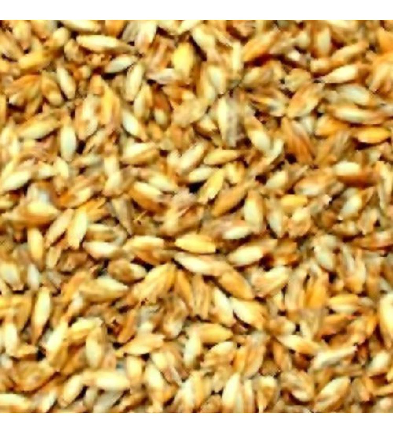iffland MERINO EUROPA 2 KG organic spelt husk from KBA Original home textile manufacturPackaging unit: 2kg