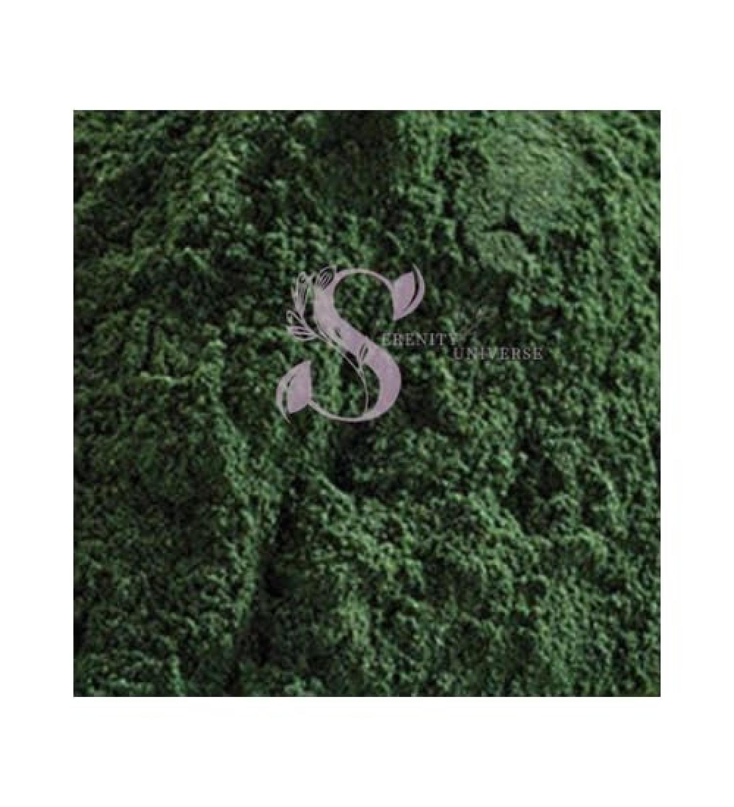 Spirulina Powder (1 LB) - Buy Online on GoSupps.com