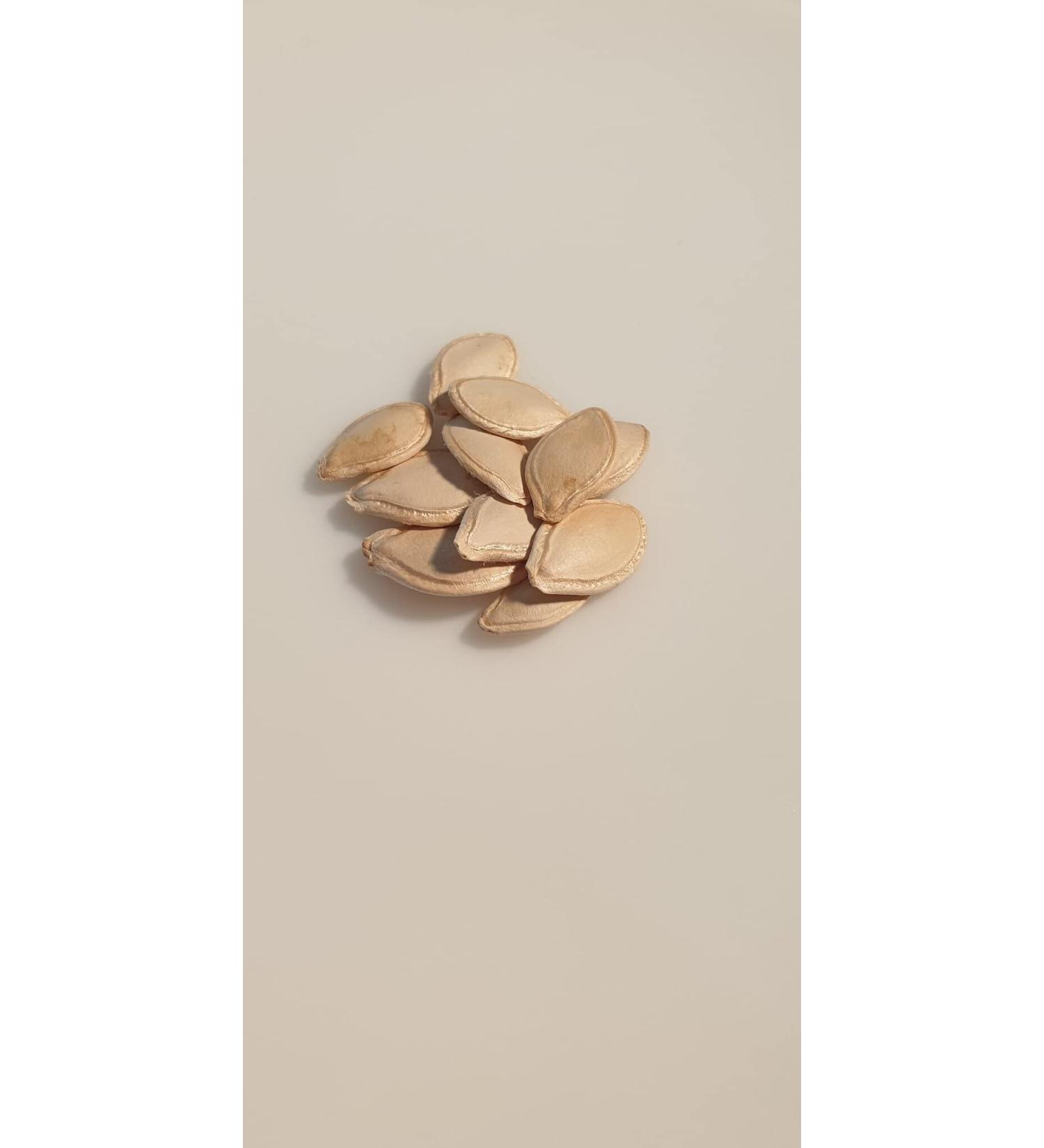 10 Seeds - SPAGHETTI Squash Vegetal - Cucurbita pepo - Buy Online on GoSupps.com
