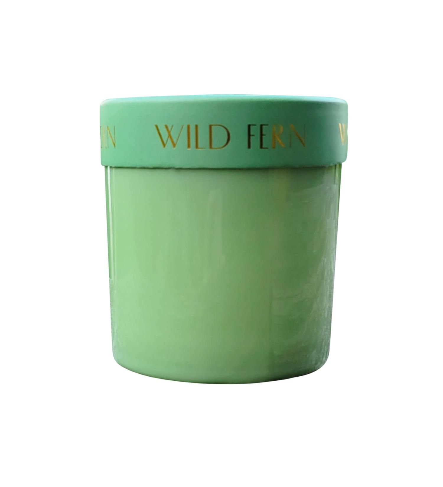 Shop Paddywax Firefly Optimist Scented Candle - 7oz Soy Wax Wild Fern Fragrance Reusable Glass Jar | International Shipping Available - Buy Online on GoSupps.com