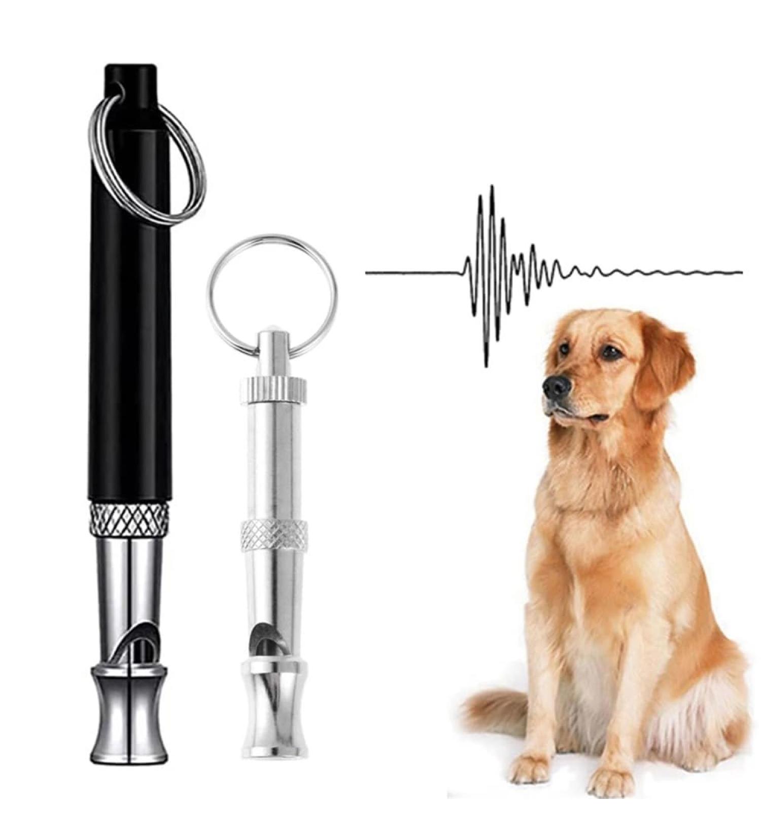 SASHTECH Dog Whistle with Lanyard | Professional Training and Calling Tool for Pets - Constant Frequency, 43cm - Buy Online on GoSupps.com