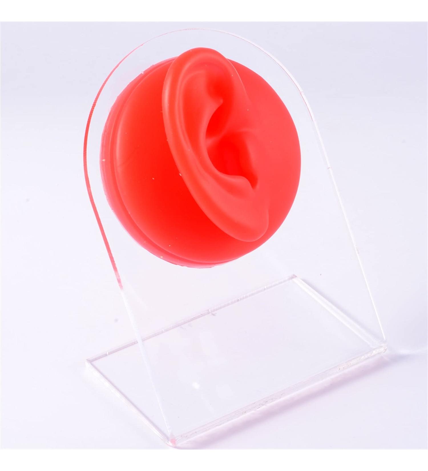 Silicone Acupuncture Human Model for Jewelry Display - 1:1 Red Right Ear Teaching Tool - Buy Online on GoSupps.com