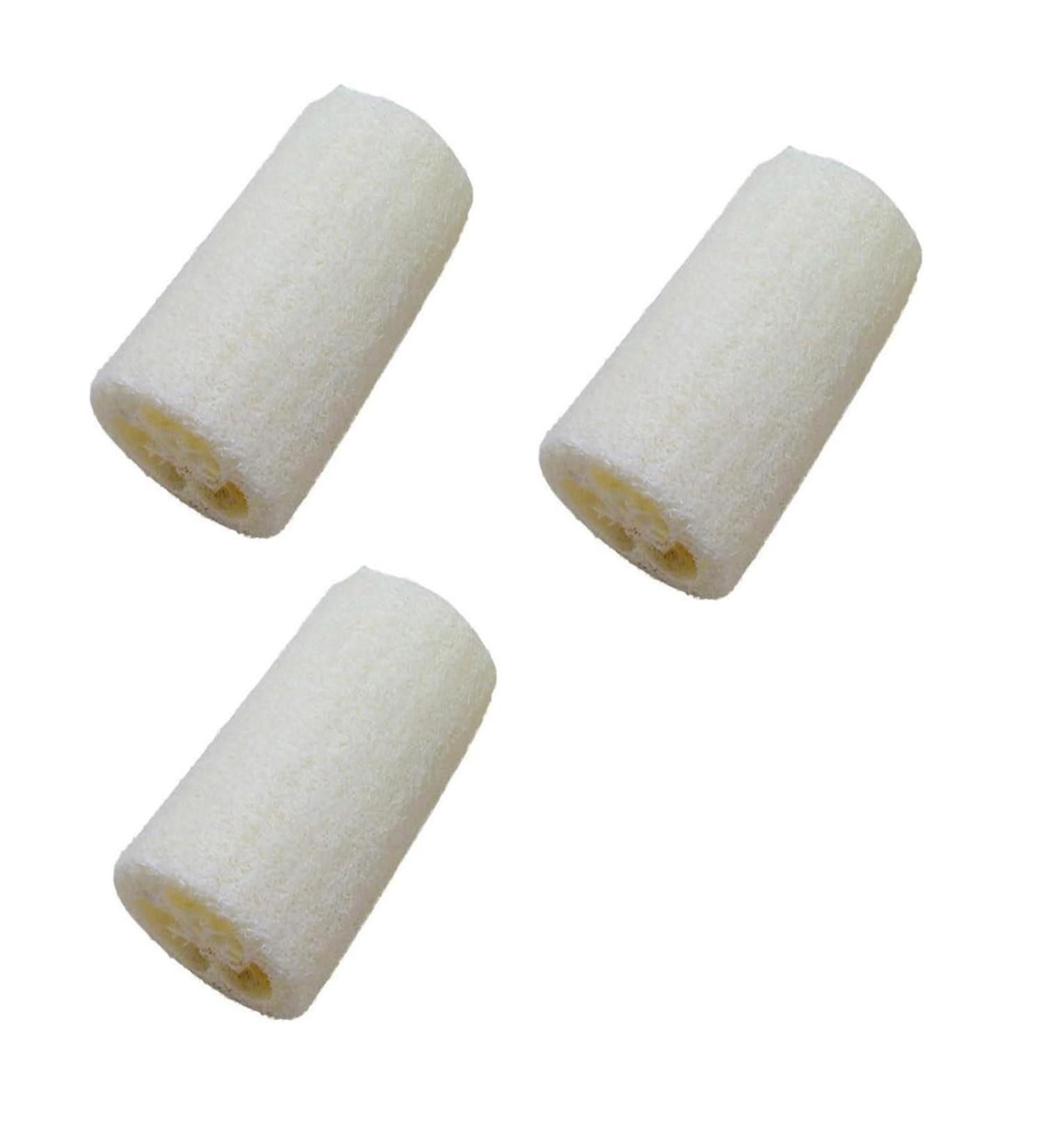 Natural Loofah Scrubbers - Eco-Friendly Kitchen Clean Dish Rags (3 PC) | Quality Bath & Spa Cleaning for Men & Women - Buy Online on GoSupps.com