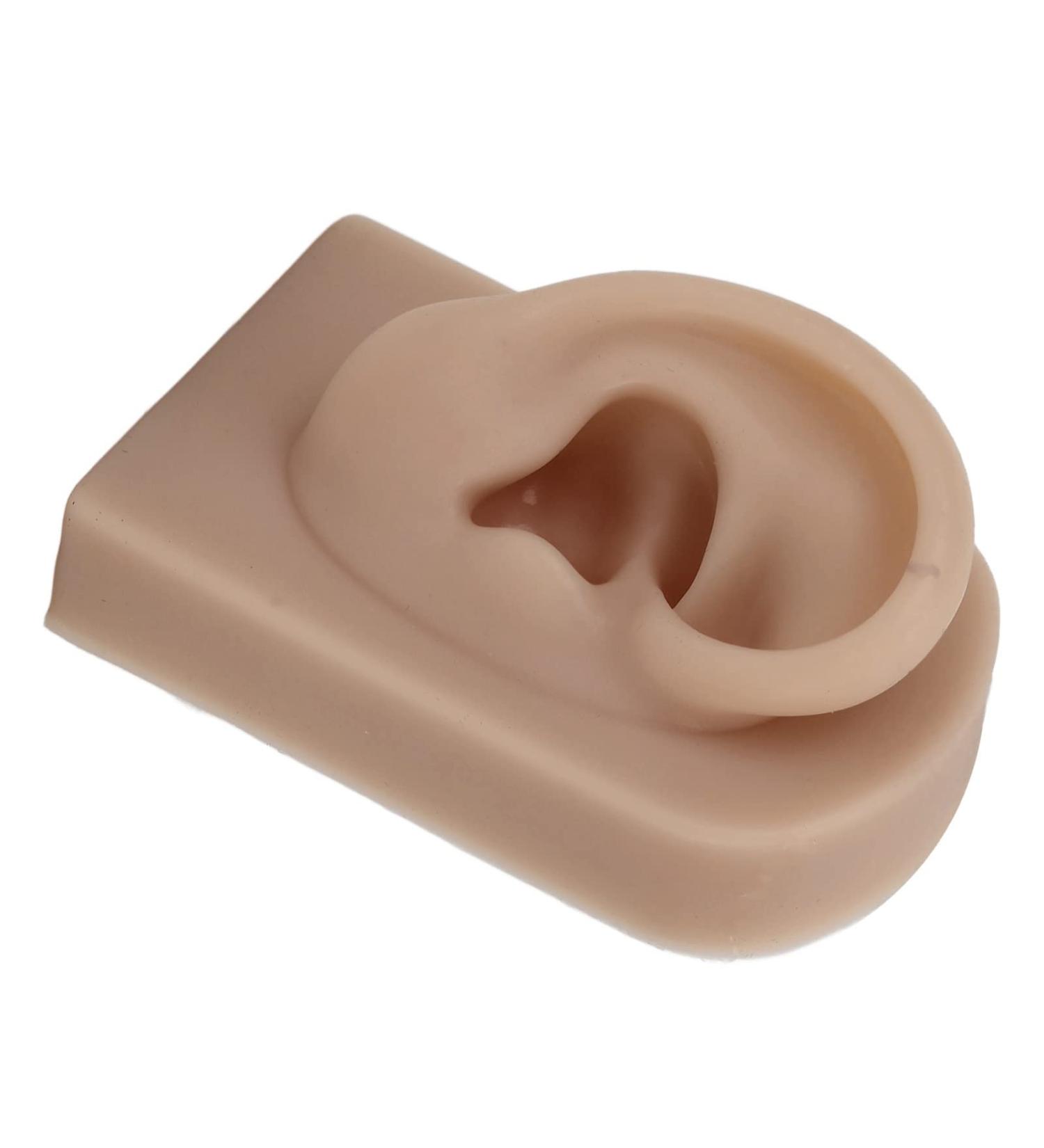 Flexible Brown Right Ear Model for Earrings Display and Acupuncture Training - Buy Online on GoSupps.com