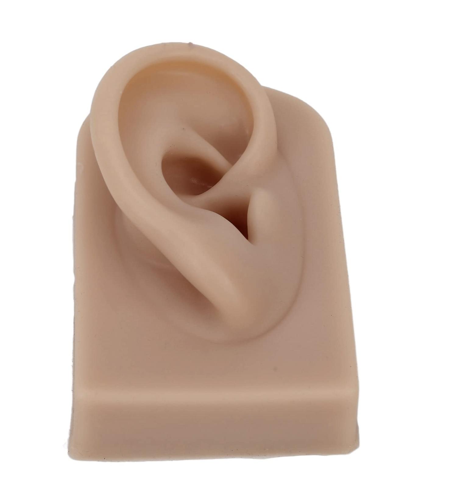 Reusable Human Ear Model - Right Ear for Piercing Training & Display (Brown) - Buy Online on GoSupps.com