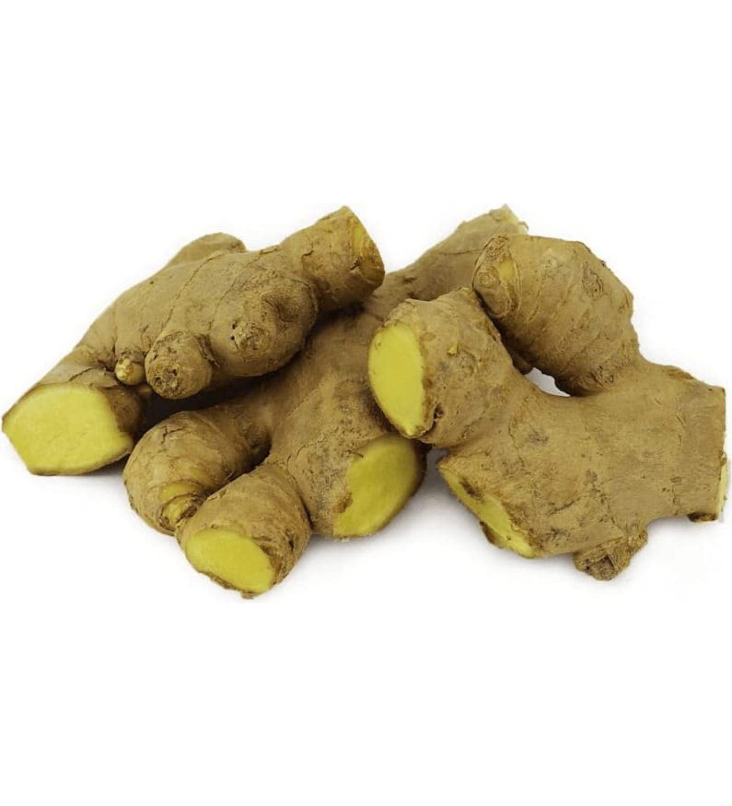 BIO PLANET Bulk packaging (KG) - INGWER organic freshness (over 4 kg)