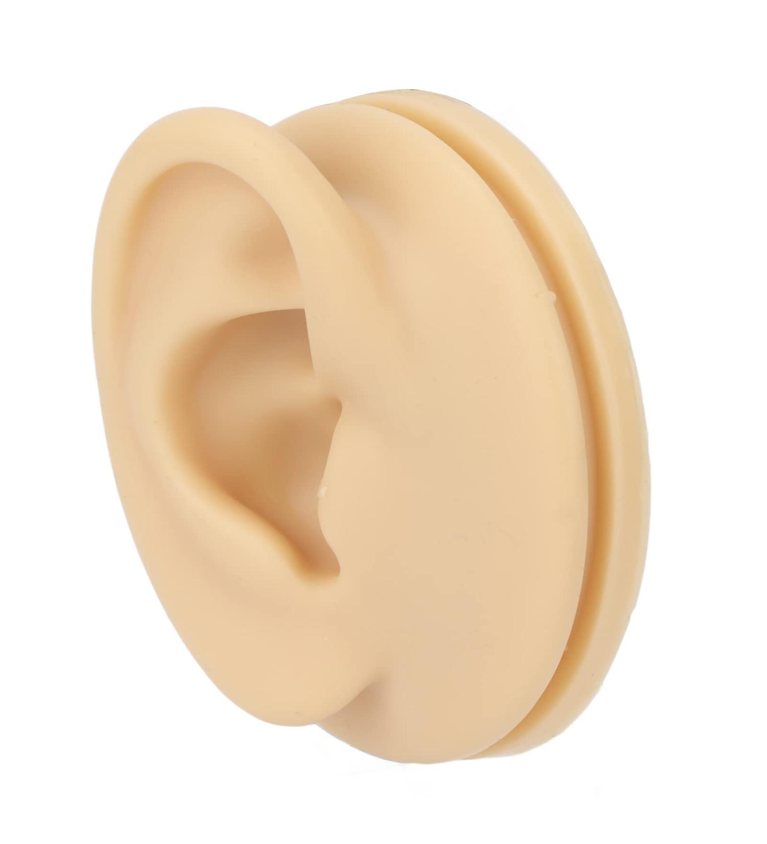 Human Right Ear Model Human Ear Model Clear Internal External Structure Soft Silicone Waterproof for Ear Learning for Suppliers - Buy Online on GoSupps.com