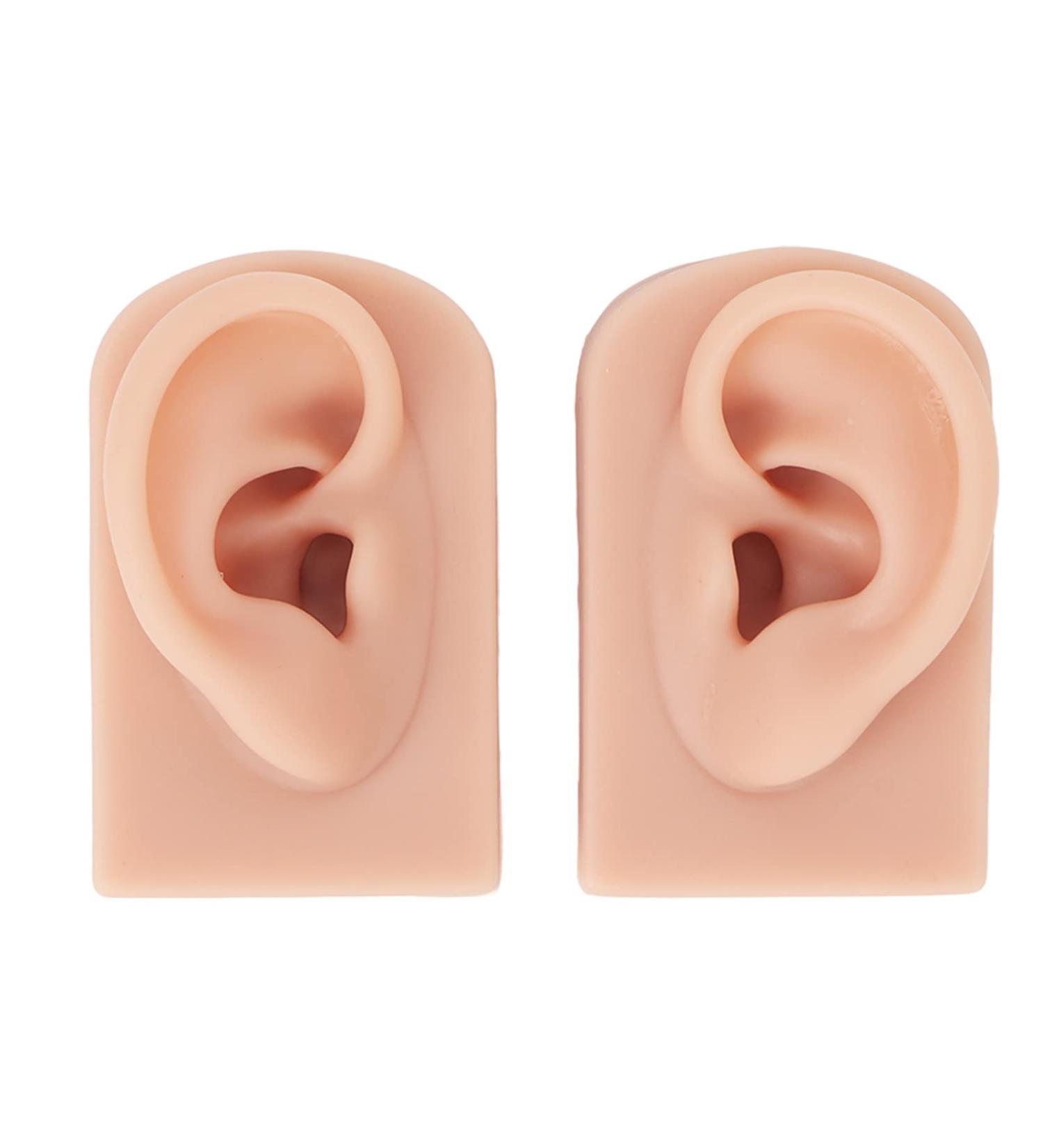 Mid Skin Ear Model Silicone Piercing Model for Ear Massage Practice Teaching Display for School and Hospital (Medium Skin Color) - Buy Online on GoSupps.com