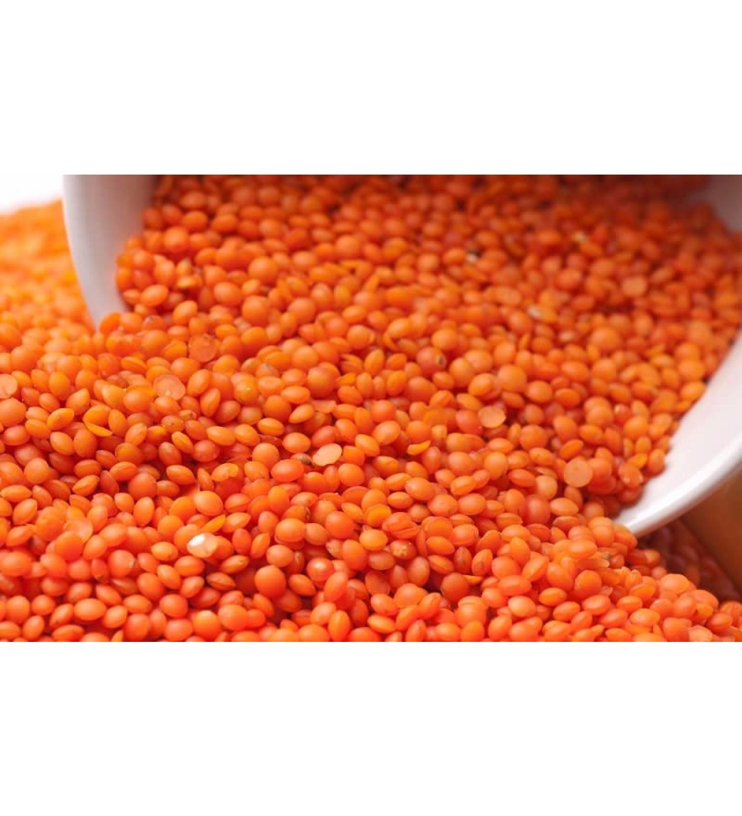 500g Organic Lentils Vegan & Gluten Free Legumes Split and Whole Daal Curry Gravy Dal Masoor Moong Bengal Gram (Red Lentils Split (Masoor Daal))