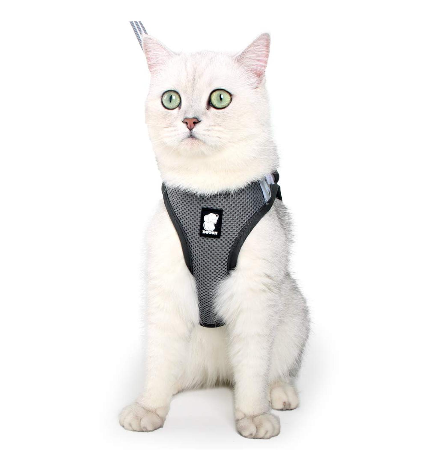 Lianzimau Cat Dishes & Ultra Light Adjustable Running Vest for Kittens & Puppies - Soft Padded Escape Protection Jacket (1 Pack) - New Gray - Buy Online on GoSupps.com