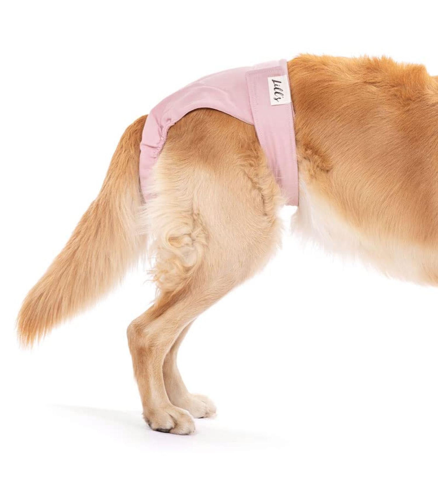 Shop Lills Fuse Pants for Women - Flexible Closure Washable Organic Cotton Extra Absorbent XS to XXL in Pink Berry - Buy Online on GoSupps.com