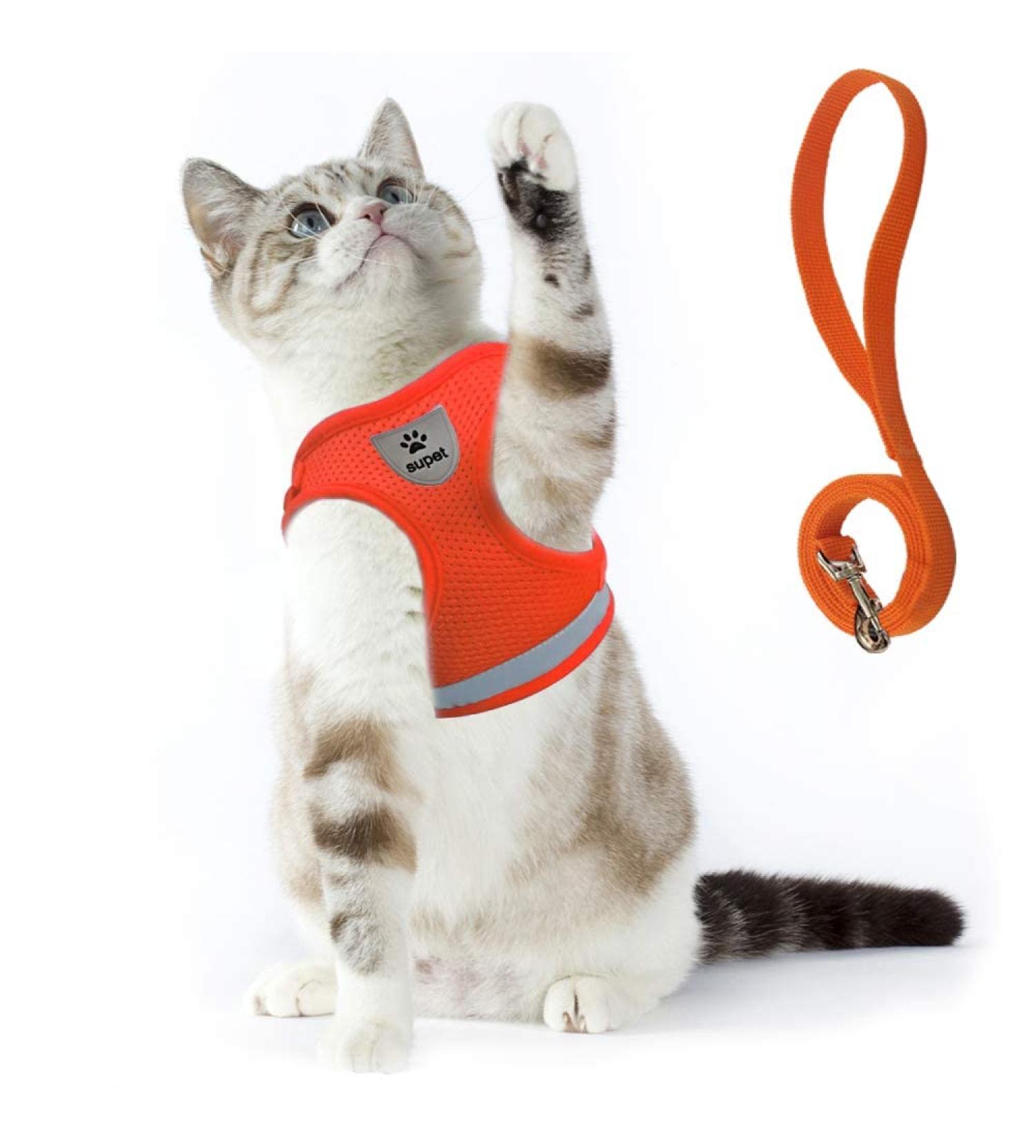Supet Cat Dishes & Soft Vest Set for Cats & Small Dogs - Adjustable Leash Breakfast Collection Medium (33-38 cm) - Orange - Buy Online on GoSupps.com