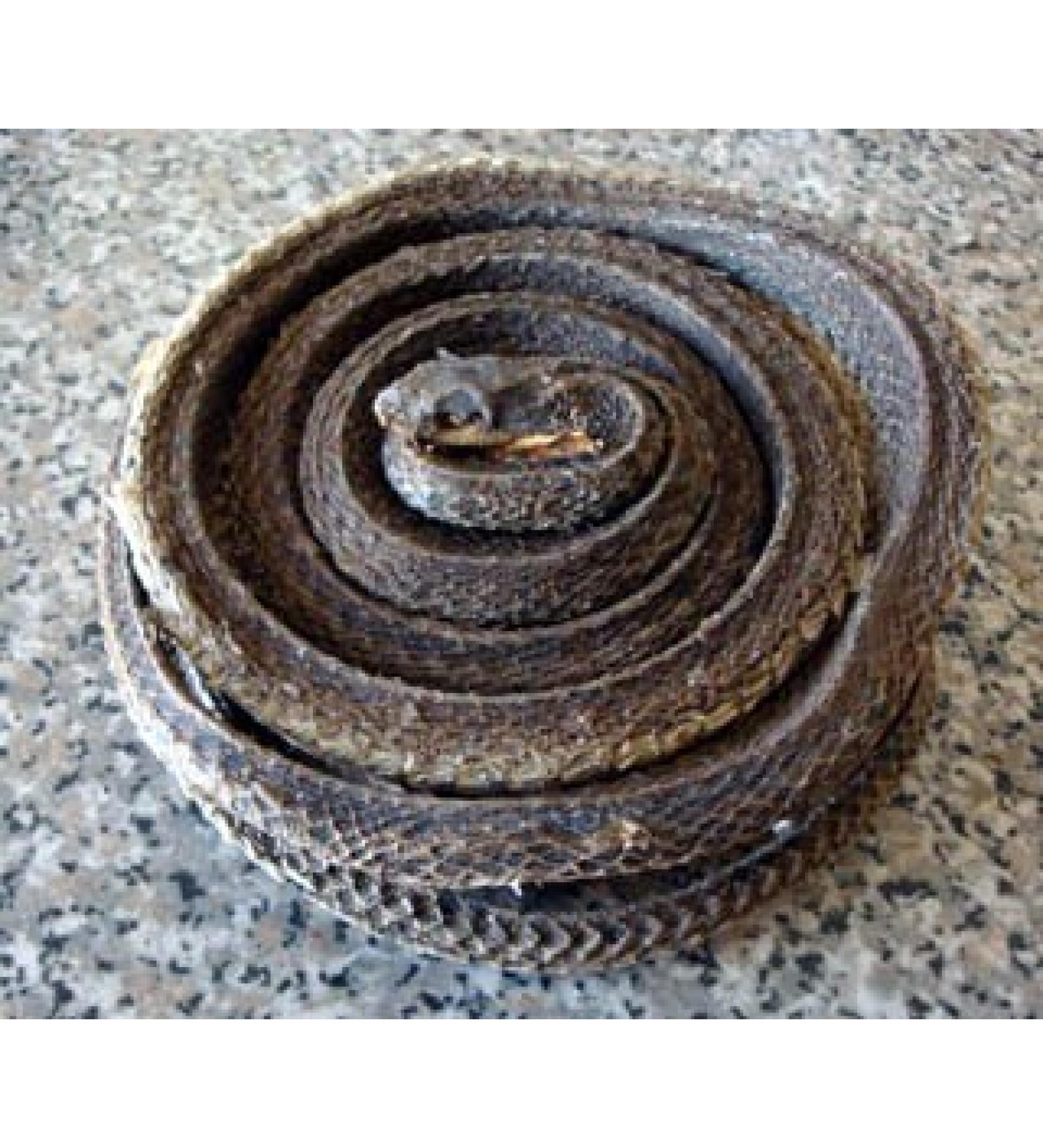 Wu Shao She Herb (Chopped) - Black Stripe Snake Medicinal Grade Chinese Herb 1 Lb.