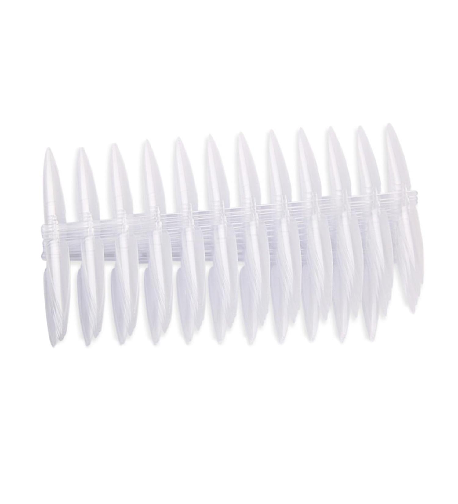 Housoutil 1 Set 20 Nail Training Manicure Tool Bronzing Pearls for Face Nail Polish False Nail Art Practice Nail Color Cards Nail Salon Tool Nail Art Kit Display Board 4.5x1.3cm Transparent - Buy Online on GoSupps.com