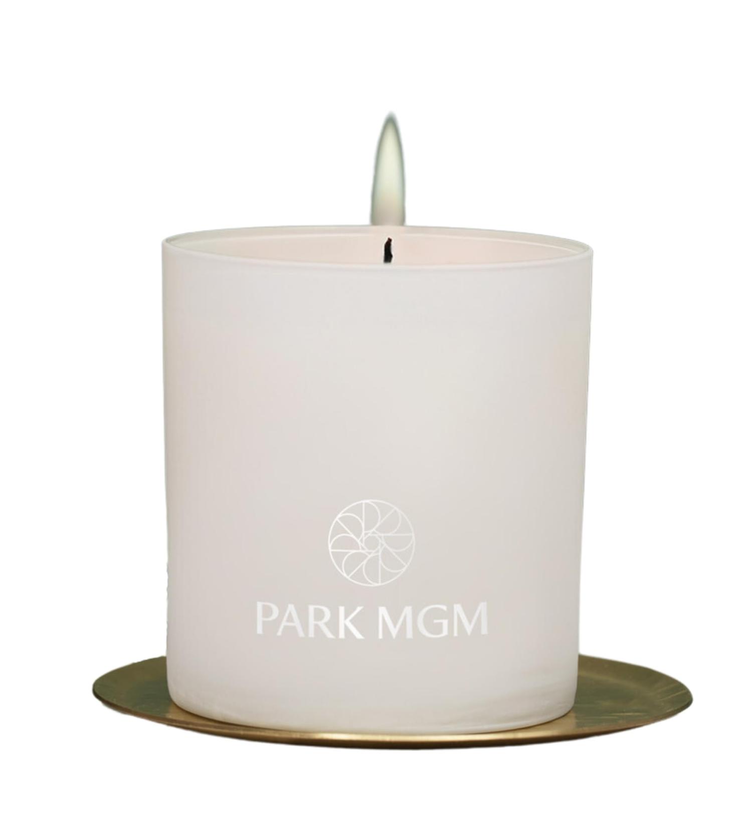 Luxury Hotel Fragrance Candle - Soy Blend Wax - Pear Apple Floral Orange Clove - 8.25 oz - International Shipping Available - Buy Online on GoSupps.com