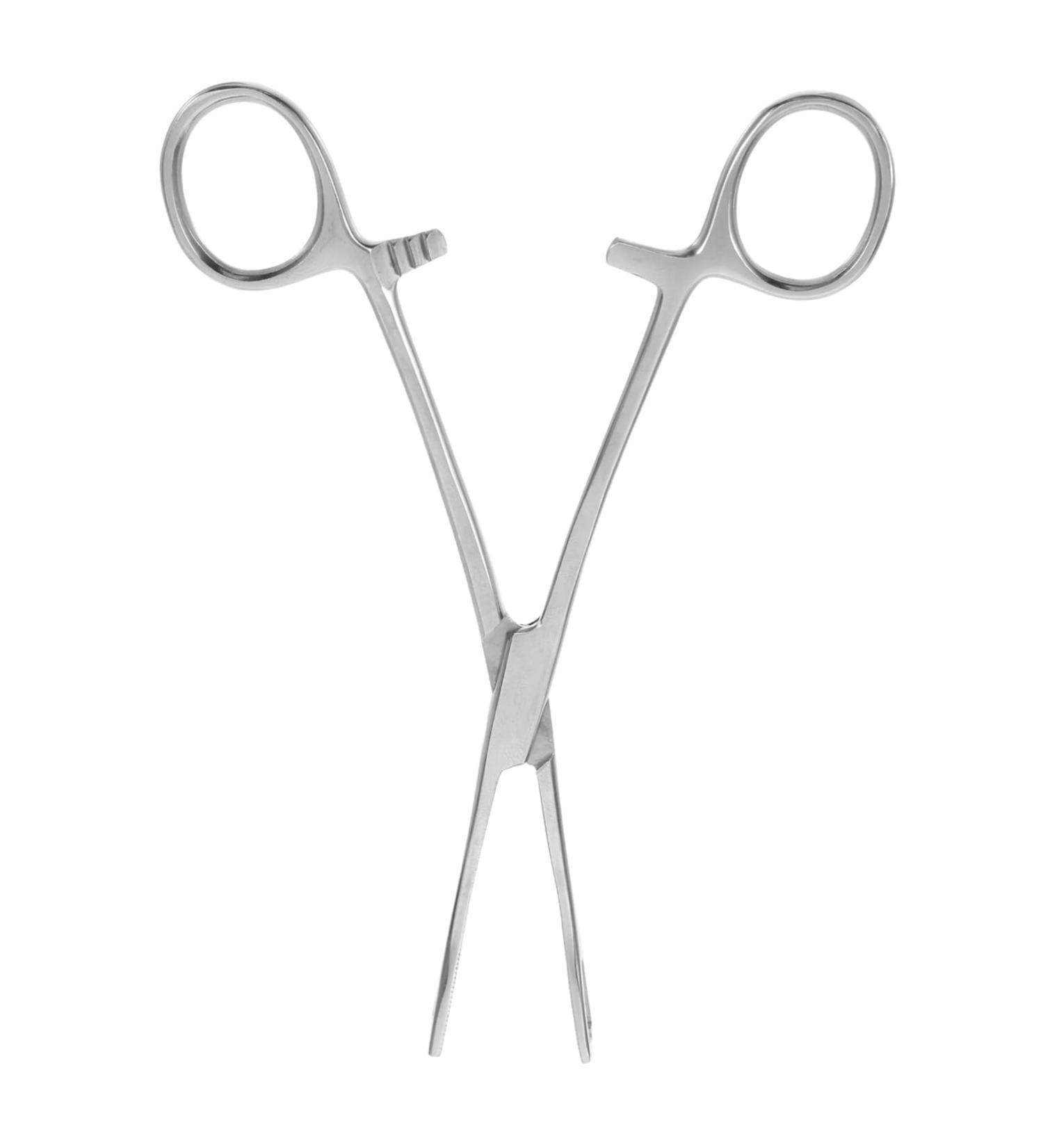 COLLBATH Reptile Feeding Clip Bearded Dragon Feeding Tongs Snake Tong Stainless Steel Silver - Buy Online on GoSupps.com