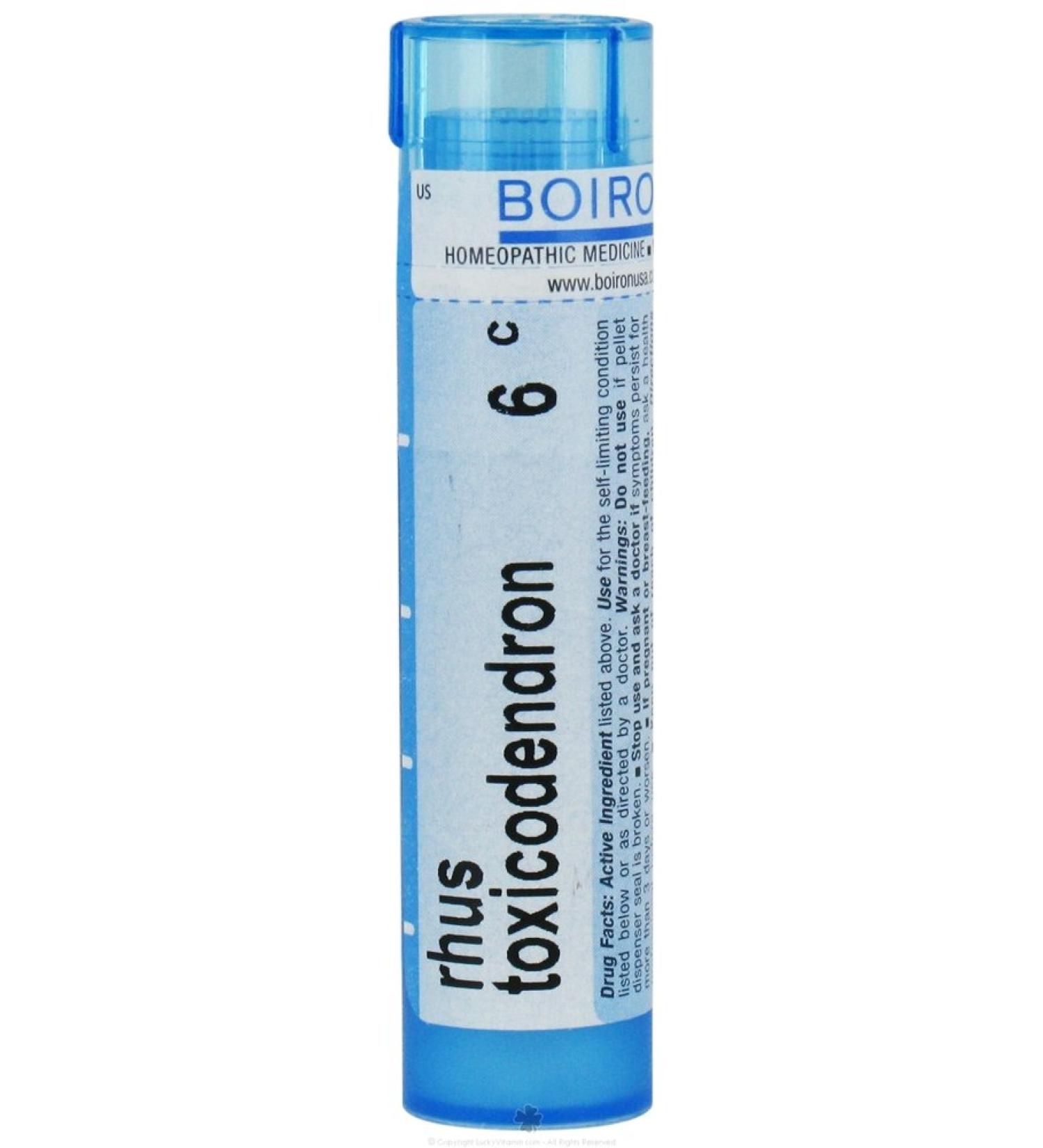 Rhus Toxicodendron 6C - Homeopathic Medicine for Joint Pain (80 Pellets)