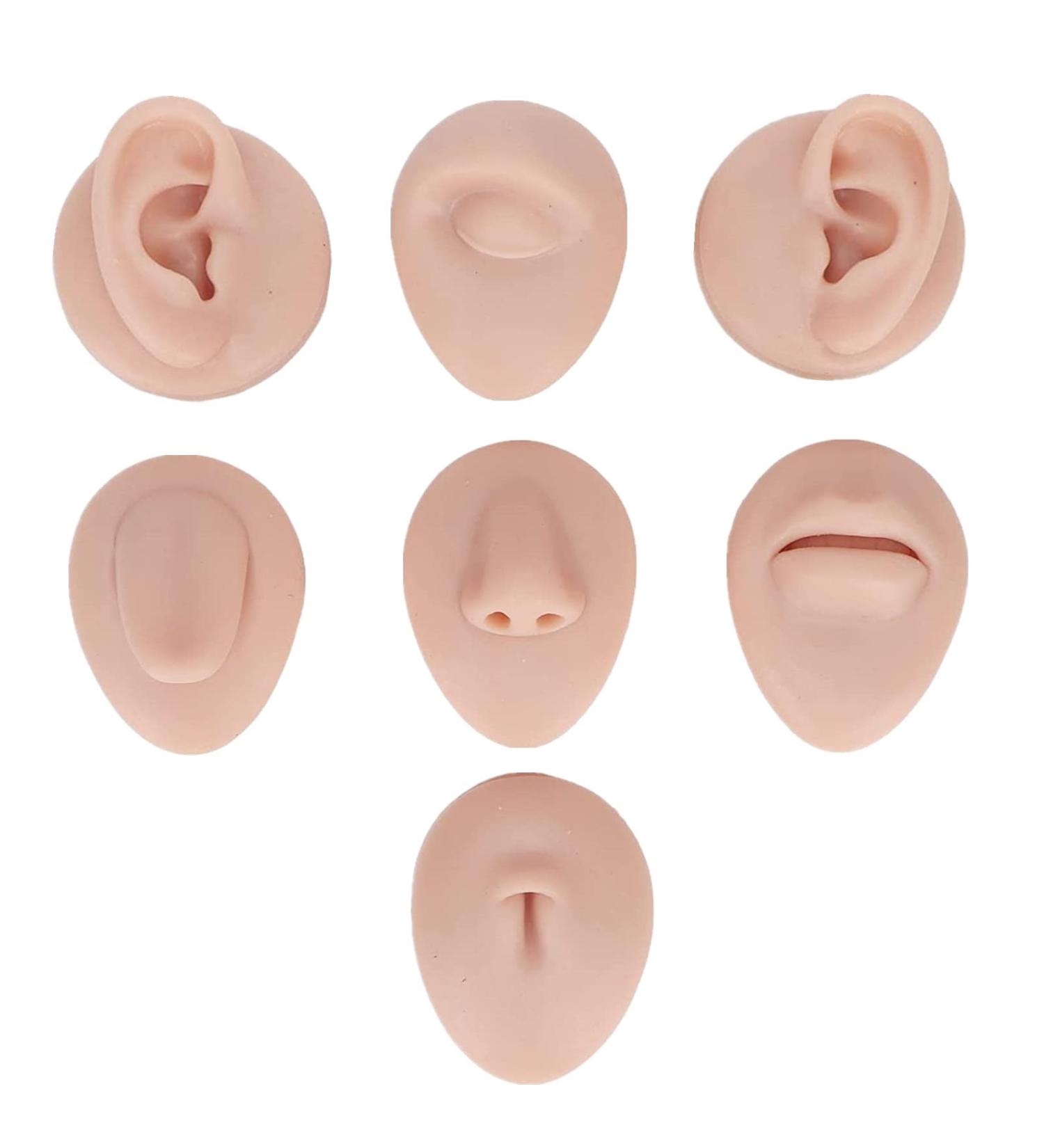 Body Piercing Practice Model - Silicone Ear, Nose, and Tongue Simulation for Beginners (Medium Skin Color) - Buy Online on GoSupps.com