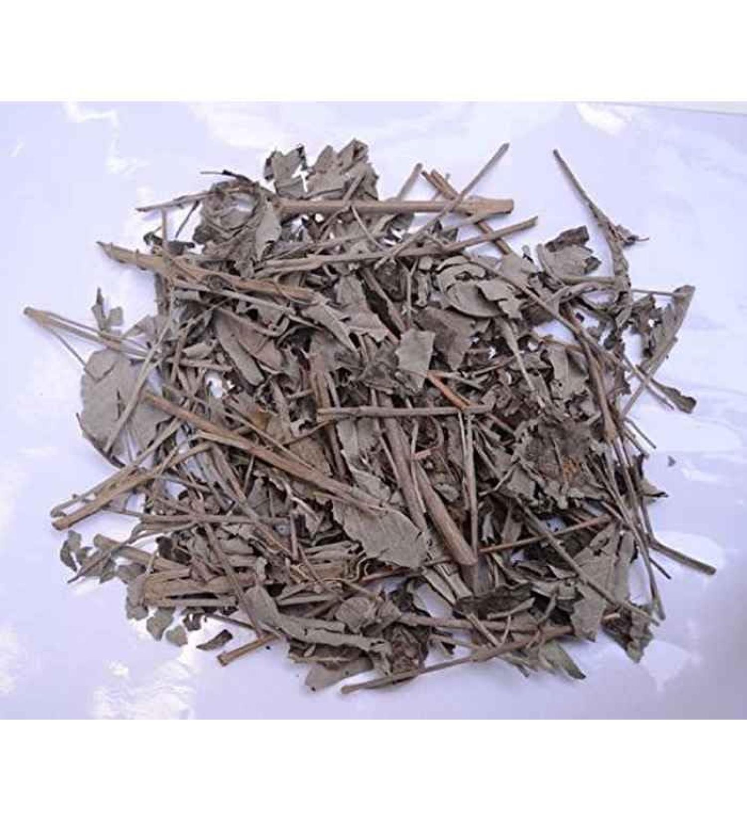 Neel Ayurvedics Neel Ayurvedics Nirgundi Leaves | Nagod Pan | Sambhalu Leaves | Nirgundi Patta | Nirgund - 250 GM