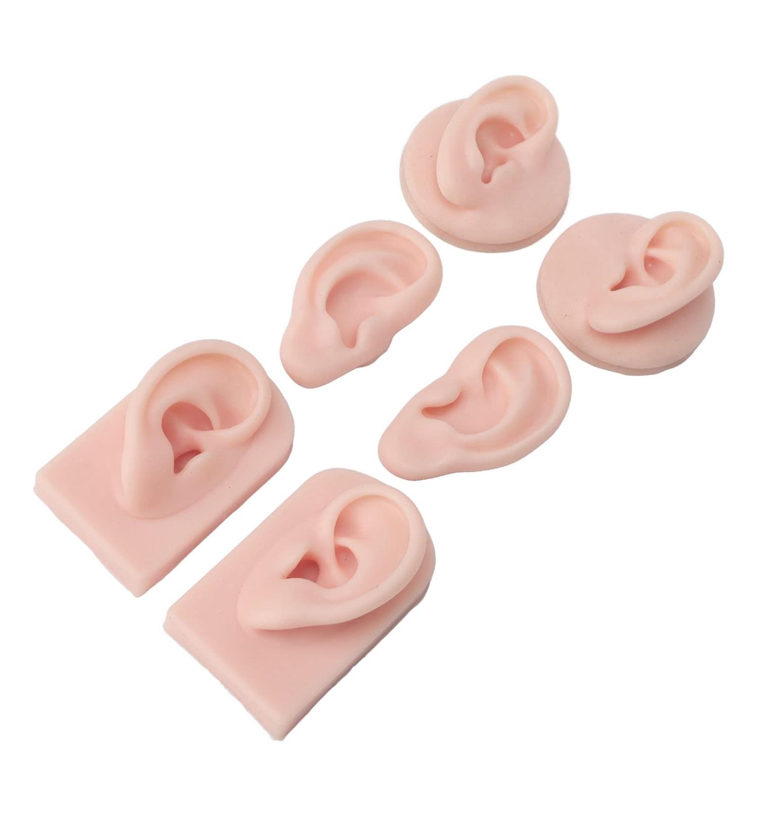 Human Ear Model with 3 Pairs Earring Elastic Bands for Piercing Practice - Light Skin Color - Buy Online on GoSupps.com