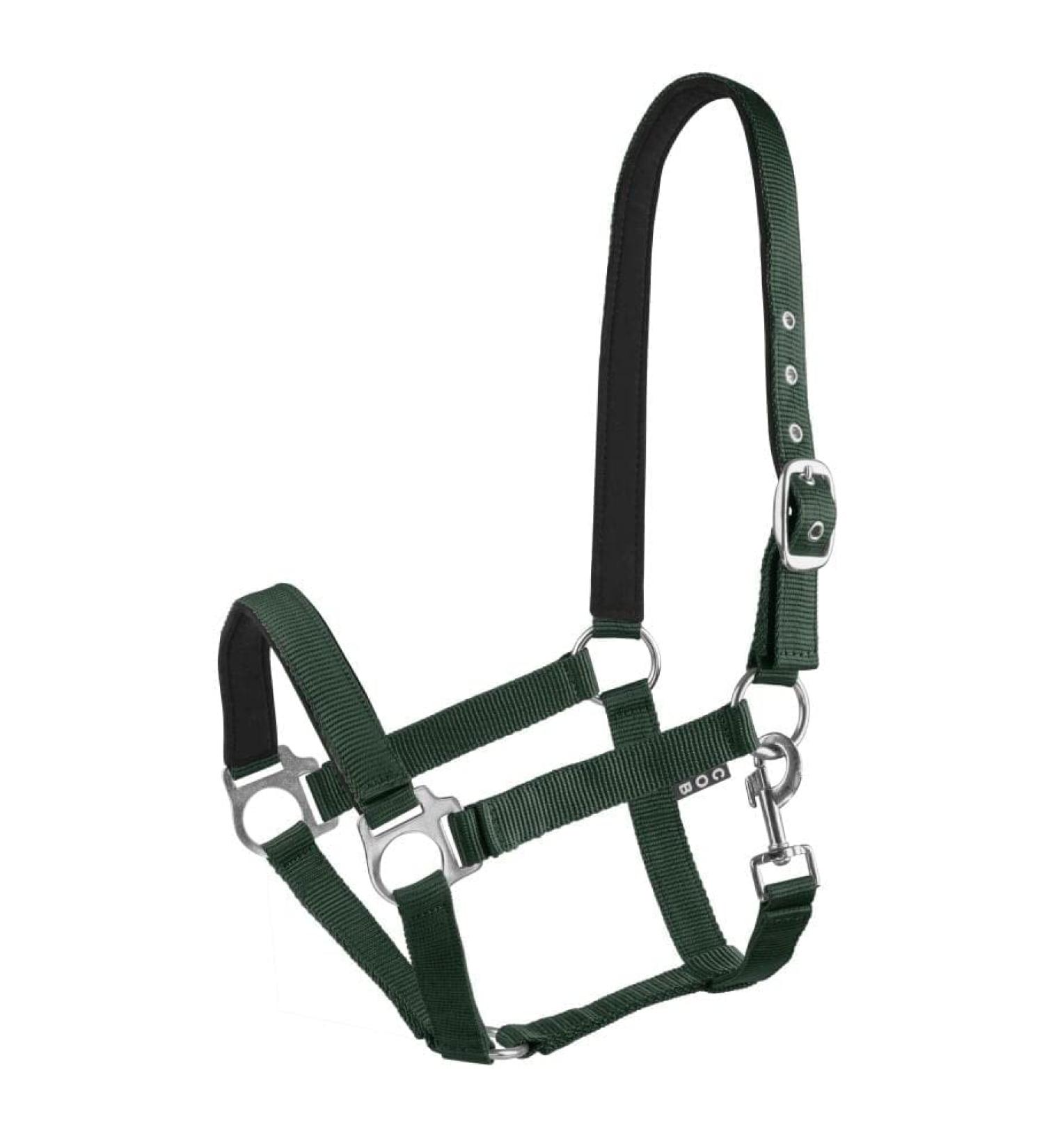 Start Economic Lined Halter For Horses Third -in -Later Pony - Stable Heave with two -tier adjustment - chin and neck piece - pasture horse halter Holder Warmblood Warm Blood Feated (dark green full) Full (warm blood) dark green