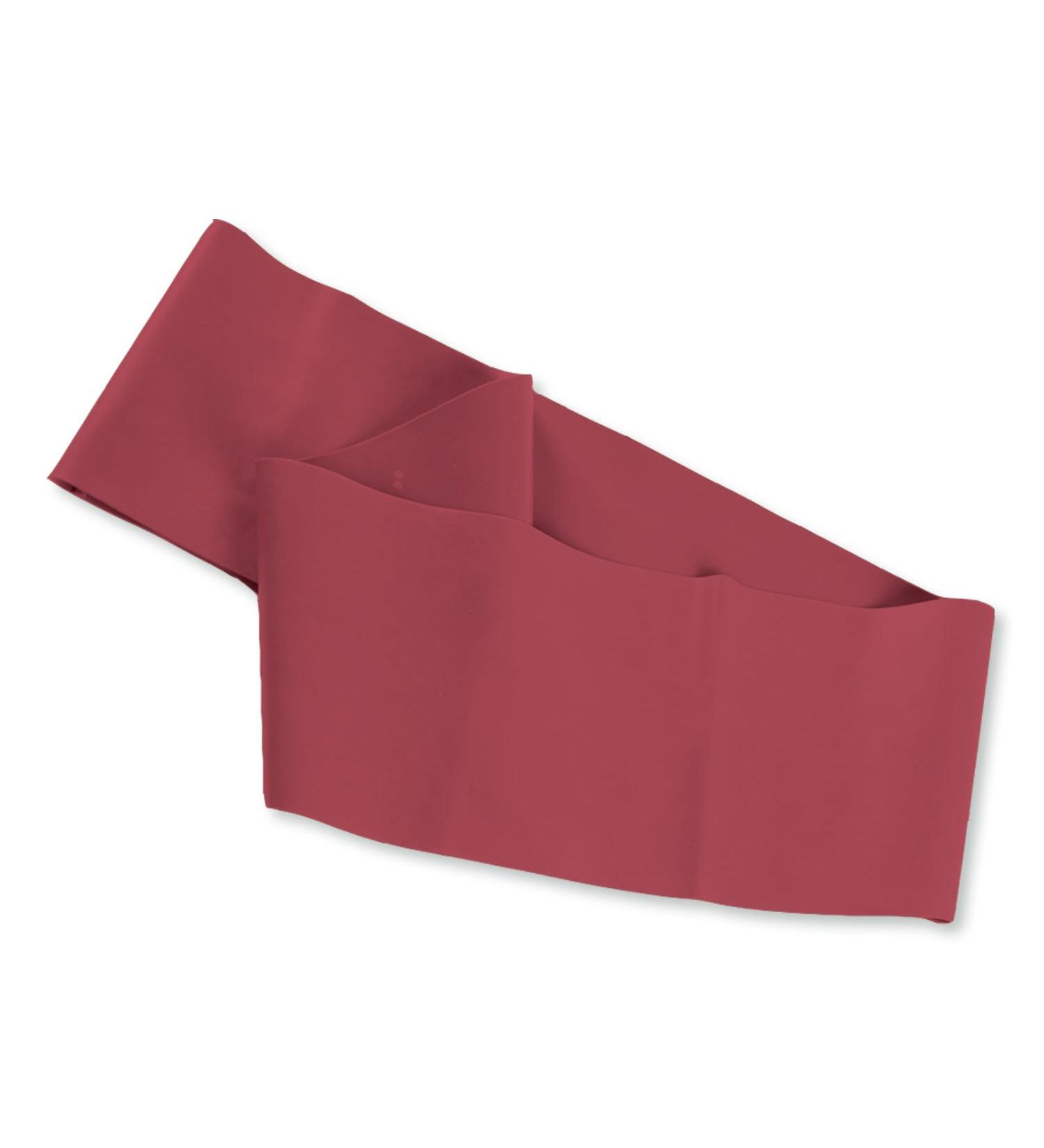 SPRI Flat Band Loop medium