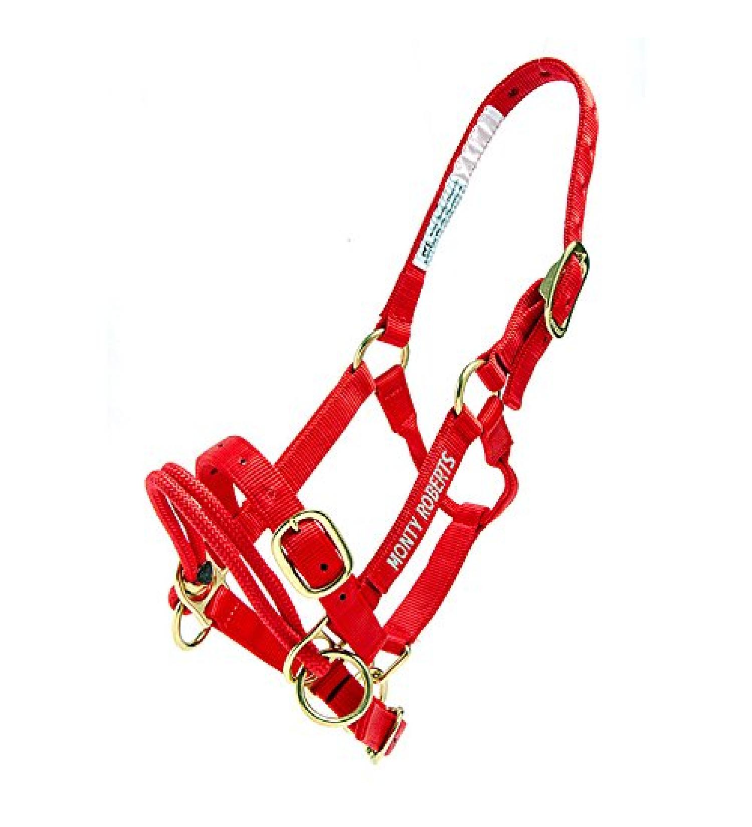 Monty Roberts Official Dually Training Halter SMALL (with FREE DVD) - Buy Online on GoSupps.com