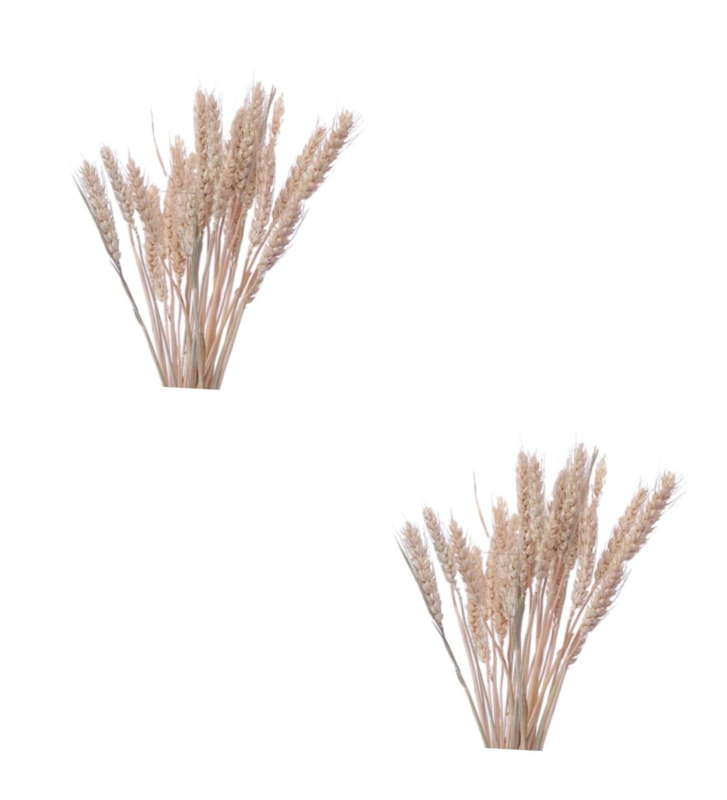 Cabilock Natural Dried Flowers 30 Pcs Natural Artificial Flower Decorative Artificial Flower As Shownx2pcs mediumx2pcs - Buy Online on GoSupps.com