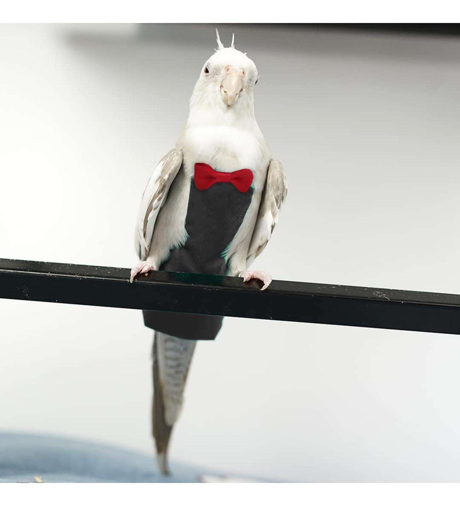 KUSO Parrot Reusable Diaper for Birds - Budgies Cockatiels Cockatoos African Macaws (Large Black) | Eco-Friendly Bird Care - Buy Online on GoSupps.com