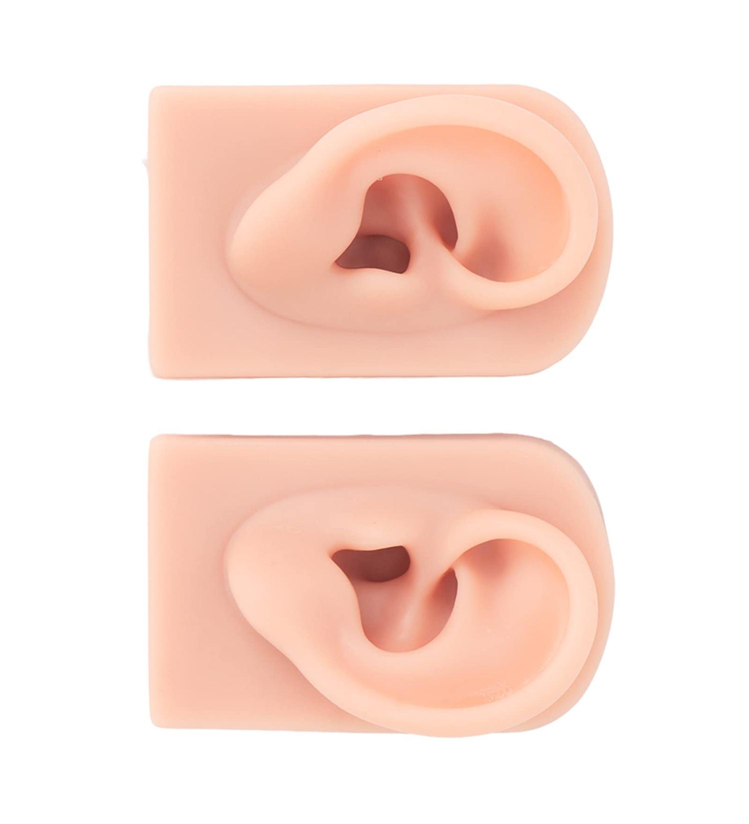 Silicone Piercing Model - Simulated Human Skin Ear Model (Light Skin) for Teachers & Salons | International Shipping - Buy Online on GoSupps.com
