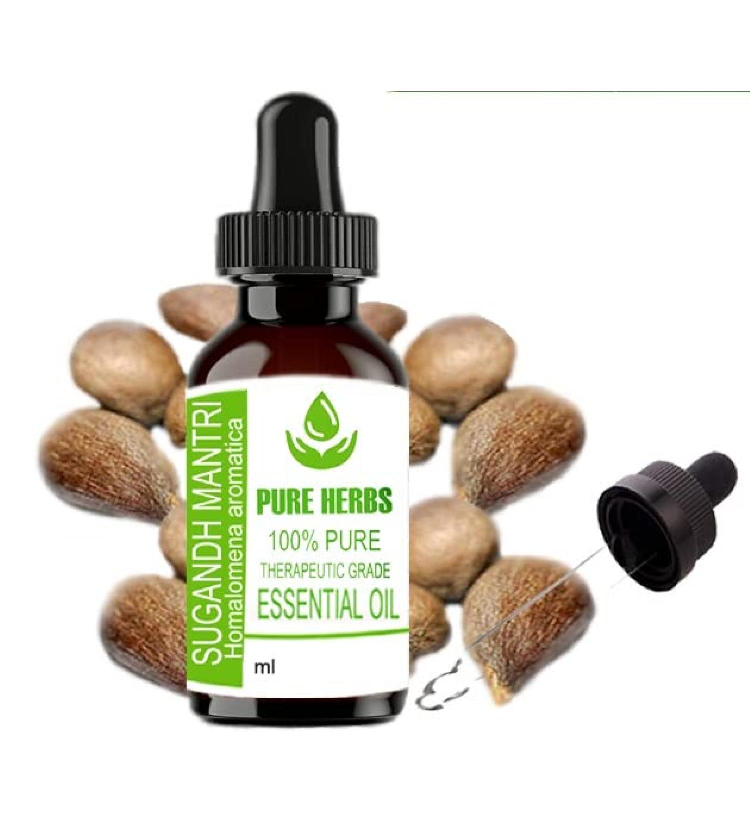 Buy Pure Herbs Sugandh Mantri Essential Oil (Homalemona Aromatica) 10ml - Premium Quality for Aromatherapy & Wellness | International Shipping Available - Buy Online on GoSupps.com