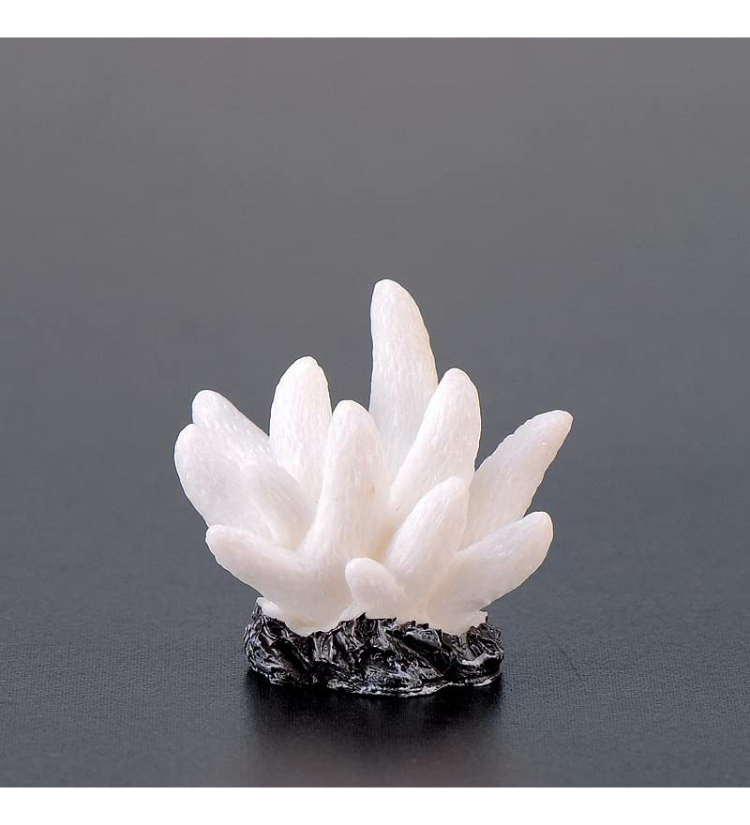 Movoja 2 PIECES Aquarium Decoration Corals - Ideal for Fresh & Salt Water Tanks - 14 White Coral Aquaristics - Buy Online on GoSupps.com