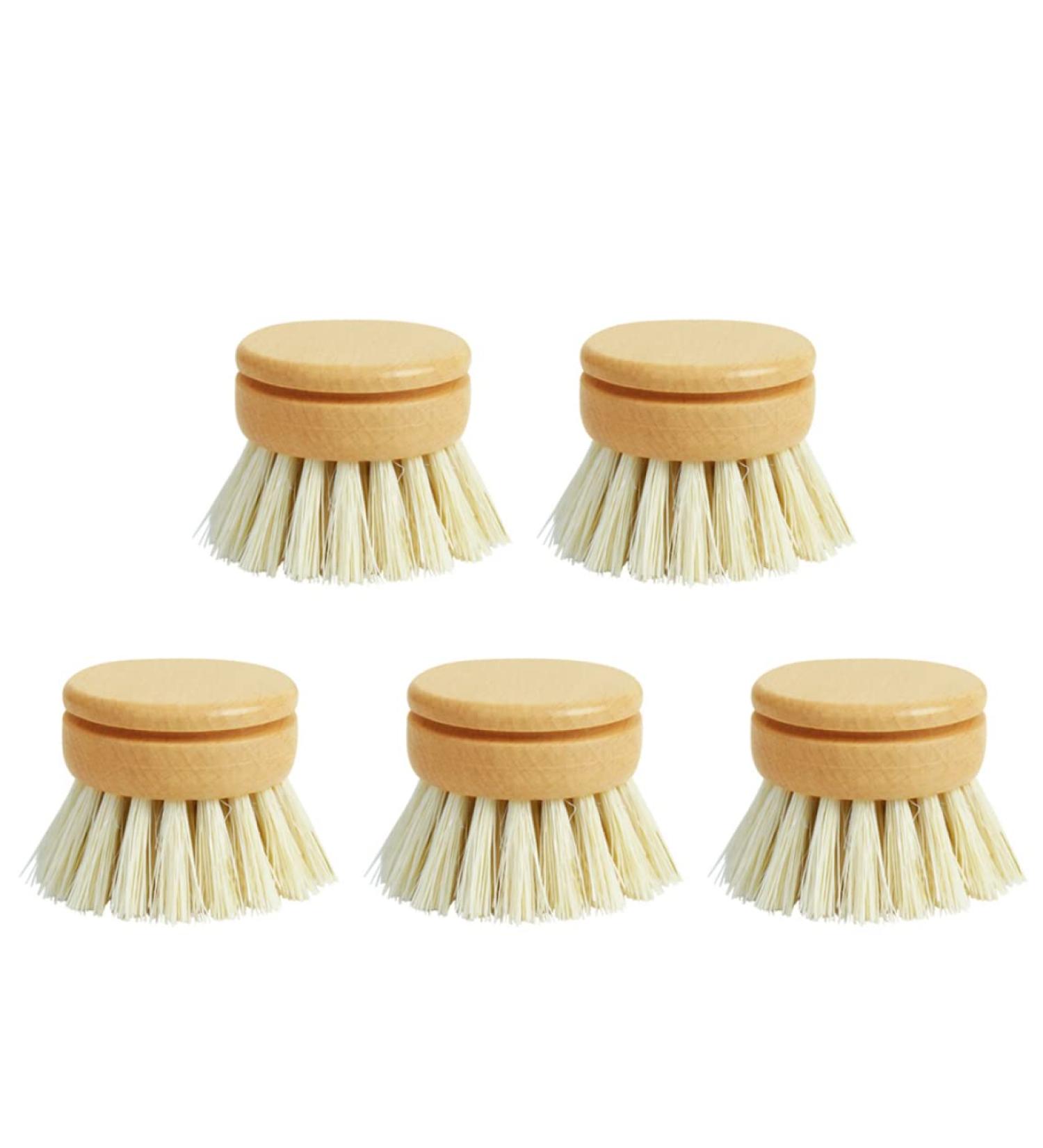 Bamboo Scrub Brush Eco-Friendly Dish Brush Replacement Heads 5 Pieces Natural Sisal Hemp and Beech Wood Scrubbing Brushes Kitchen Sink Cleaning - Buy Online on GoSupps.com