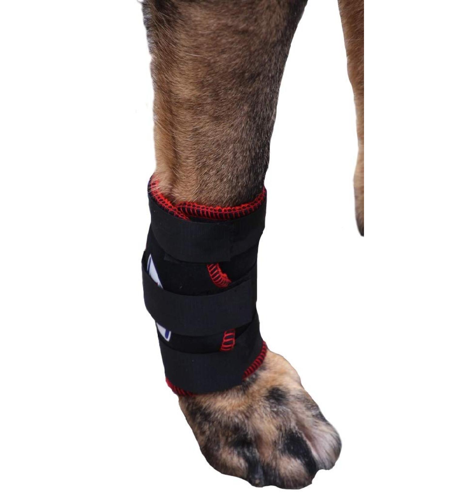TSM 7501-M Vet-Pro Dog Bandage for Front Legs M Black M (1er Pack)