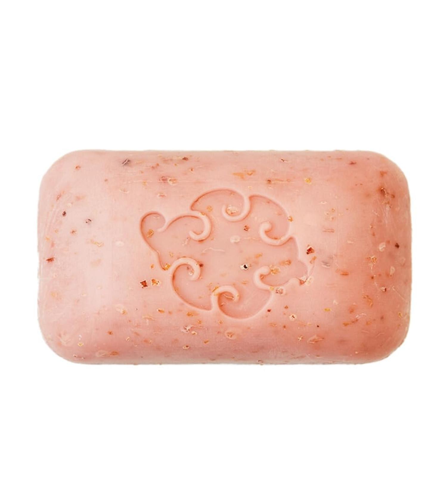 BAUDELAIRE Hand Soap Loofa Grapefruit 5 Ounce