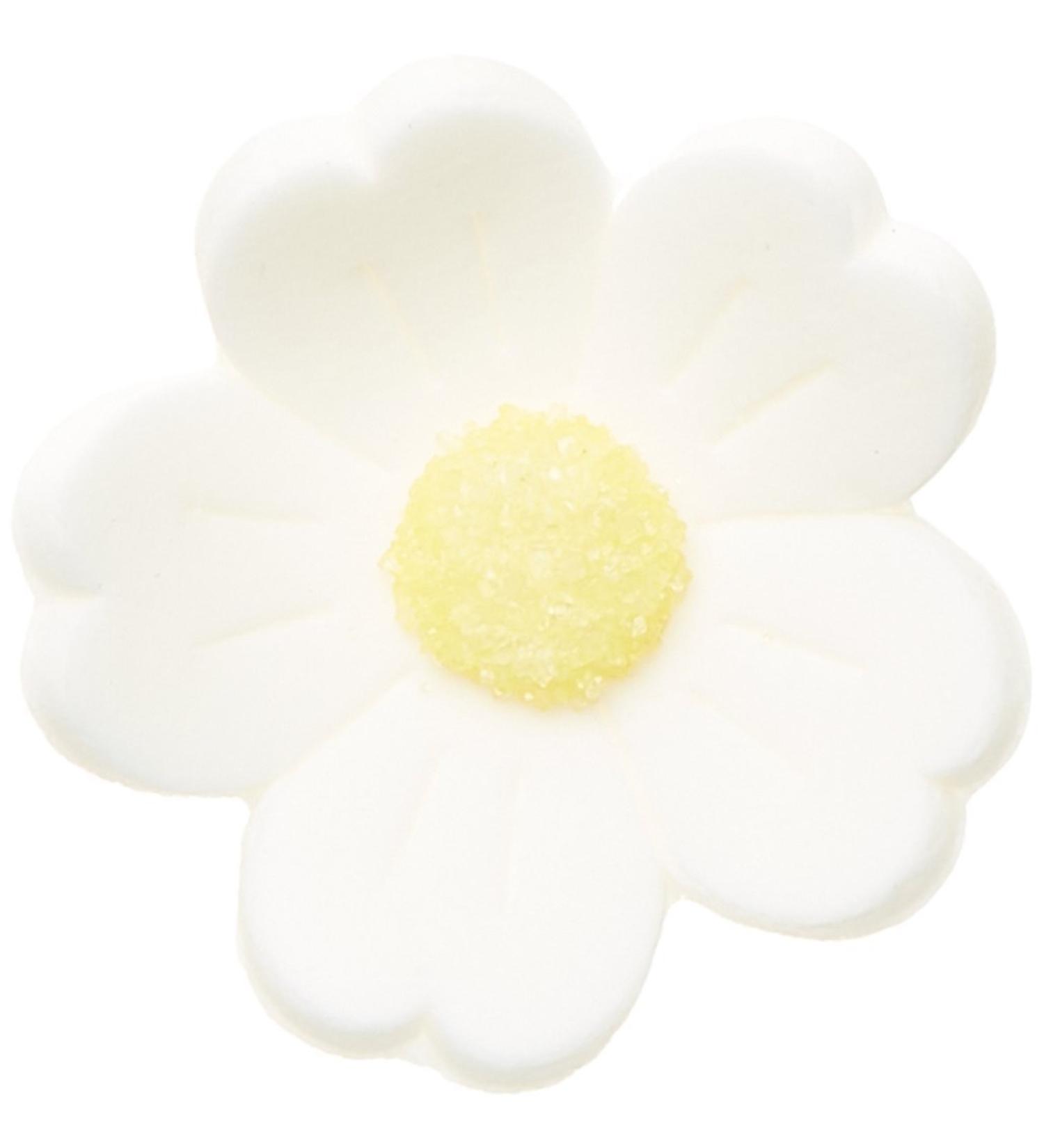 G nthart Fine Sugar Flowers - Large White Decoration (1 Pack 242g) for Cakes & Desserts - Buy Online on GoSupps.com