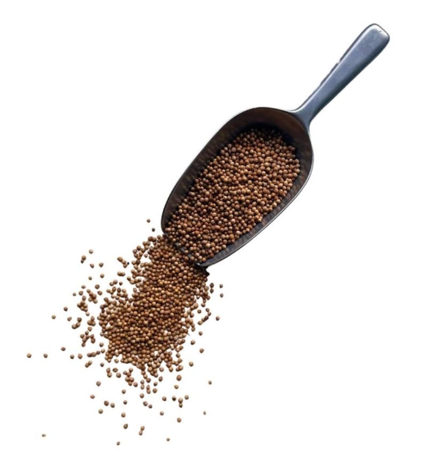 Herbal tea Coriander seed WHOLE 1 KILO Coriandrum sativum
