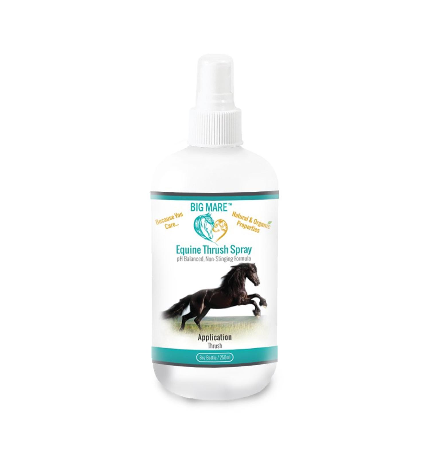 Big Mare Horse Thrush Spray | Clinically Proven Effective On Thrush. No Sting No Stain Formulation. Veterinary Approved & Recommended. - Buy Online on GoSupps.com