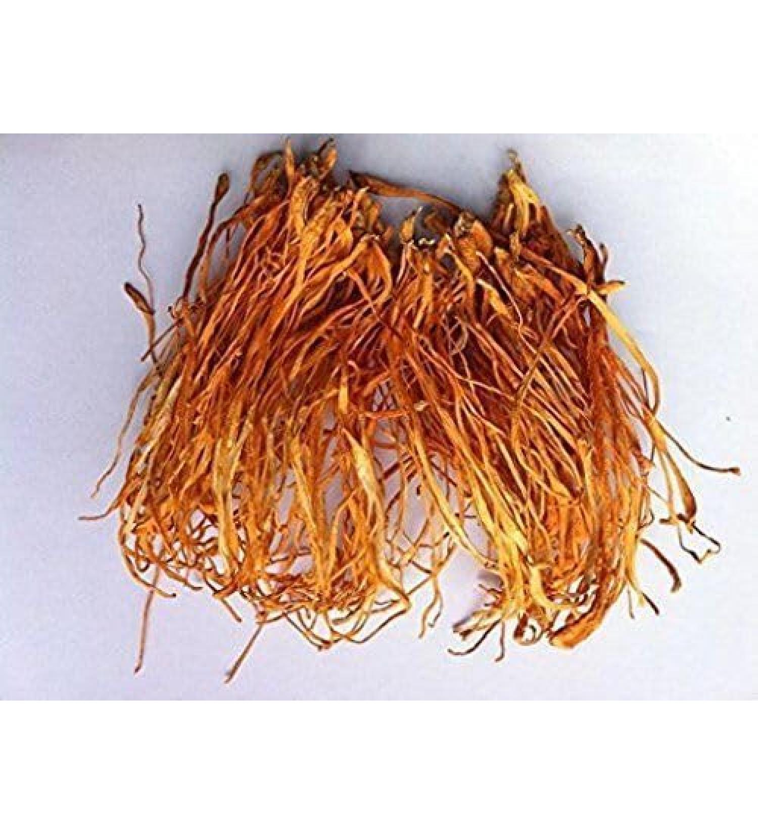 WENXUANSU:2 Pound (908 grams) Special fungus Cordyceps Flower from Yunnan China - Buy Online on GoSupps.com