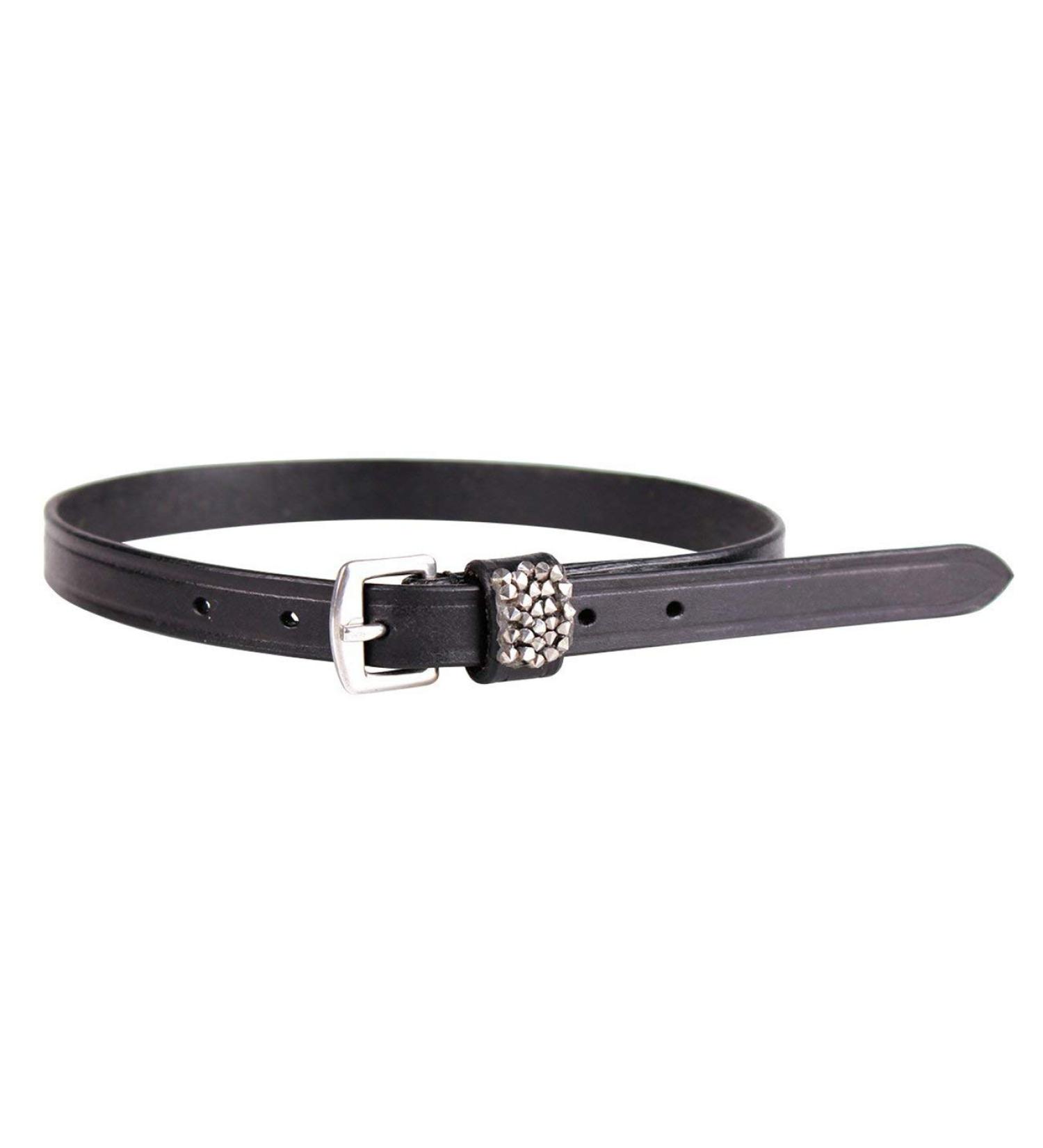 QHP Spur Straps Lupine